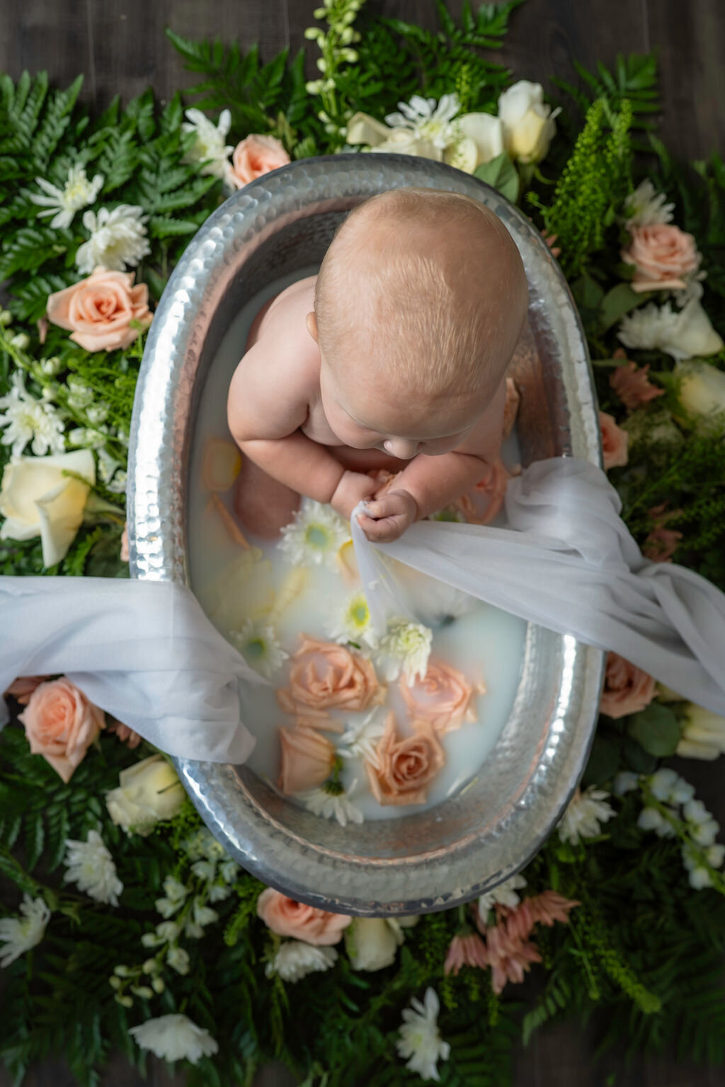 5-Abi0913MilestoneSitterSession(1)