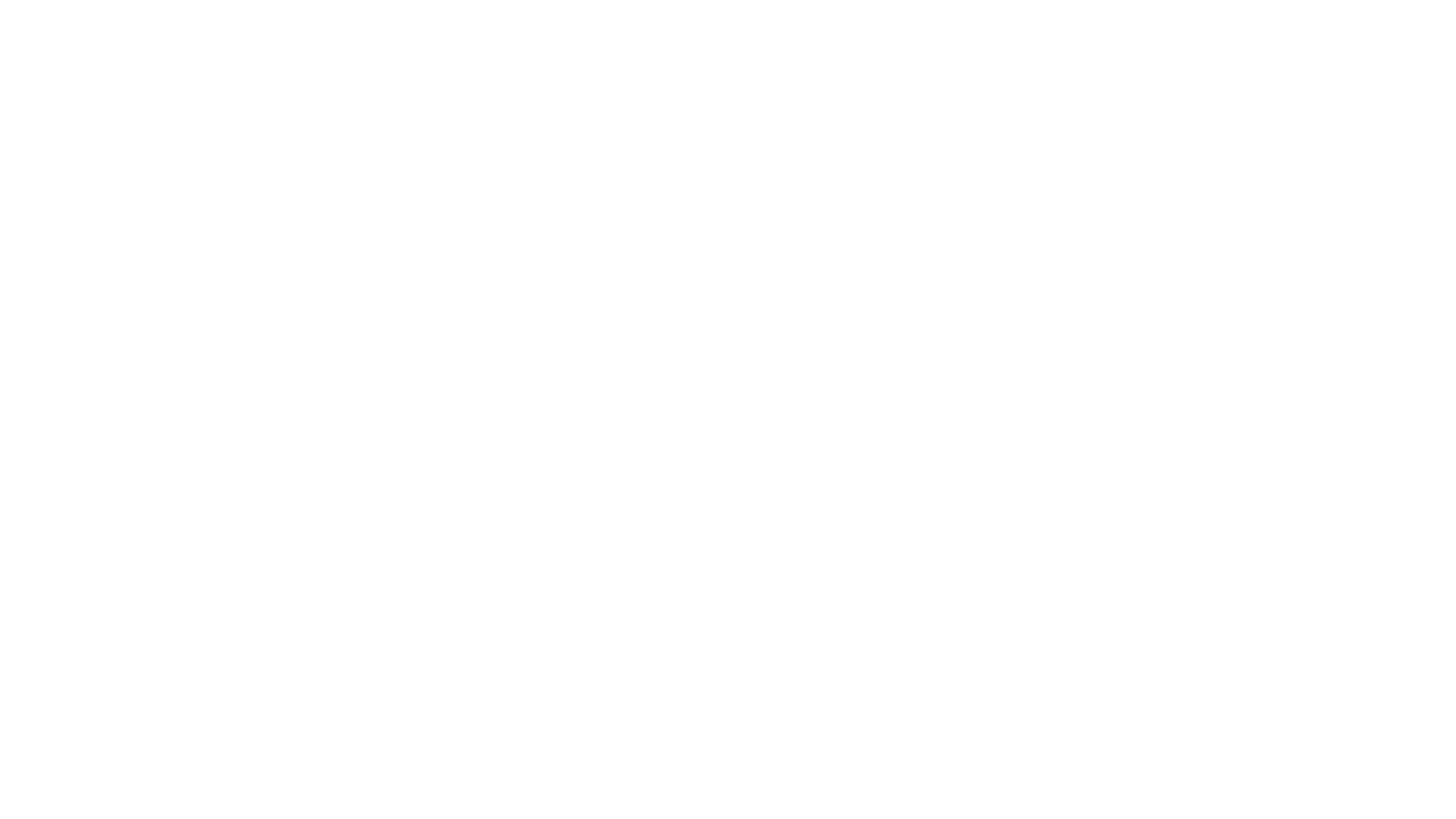 the conscious