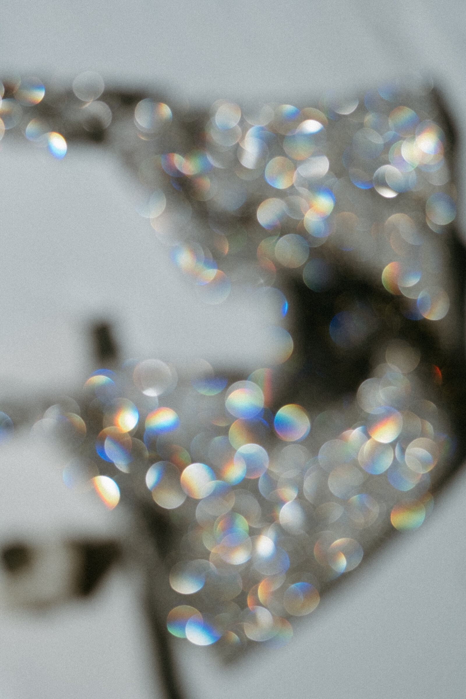 Maegan-Brown-Moments_220915_Together-Journal_Sparkly_Still-Life_0114