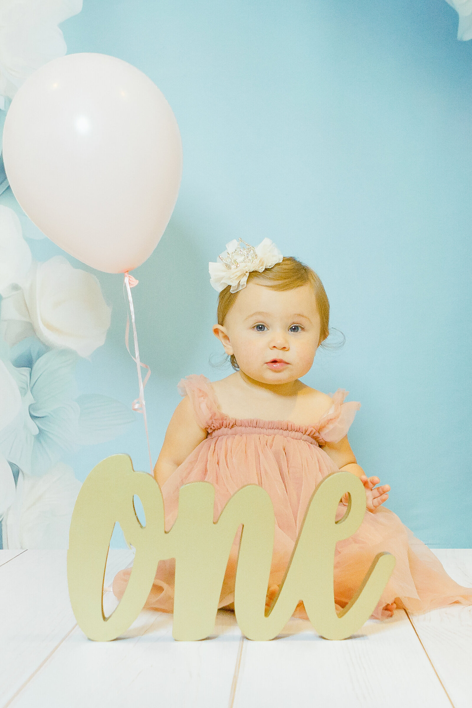 Danica's First Birthday & Vienna-208