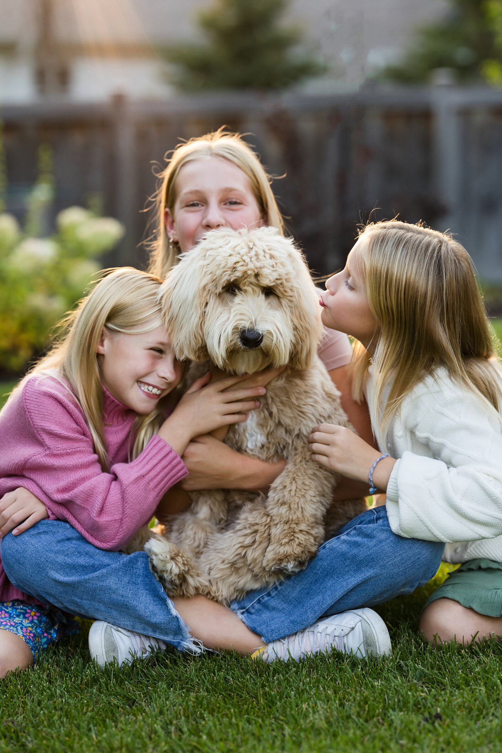 Edina Kids and Dog Photography