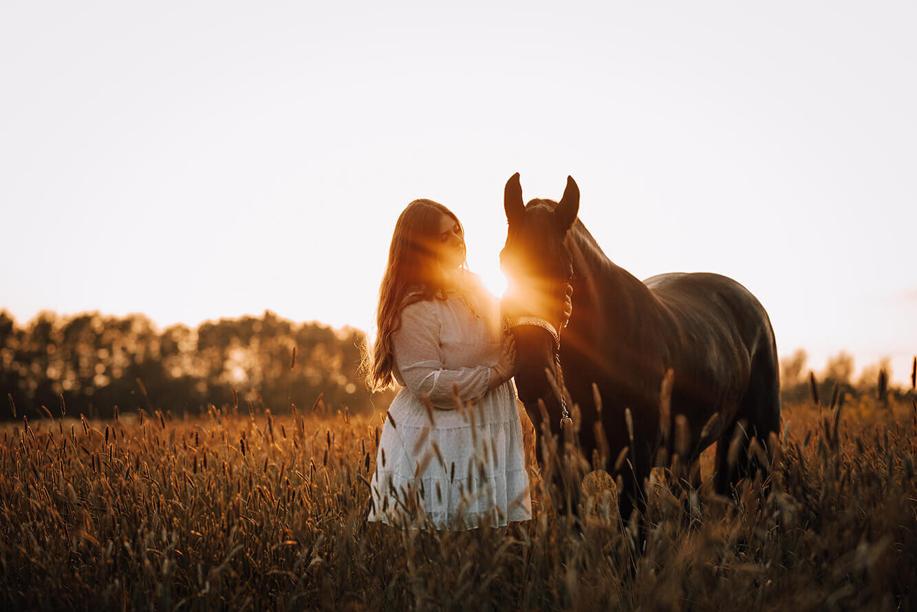 JNSW-paard-connectie