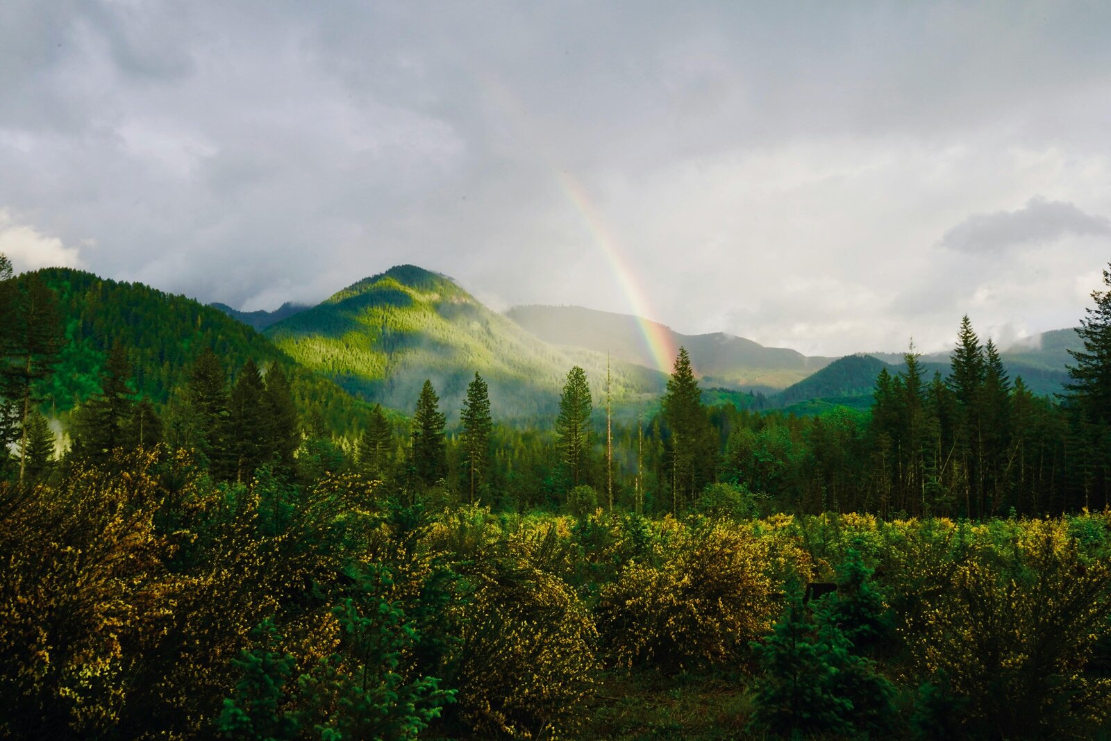 Image of green mountains with a rainbow