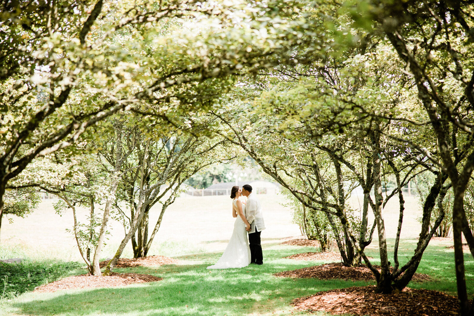 Seattle-Wedding-Photographer-And-Videographer-University-of-Washington-Arboretum-14