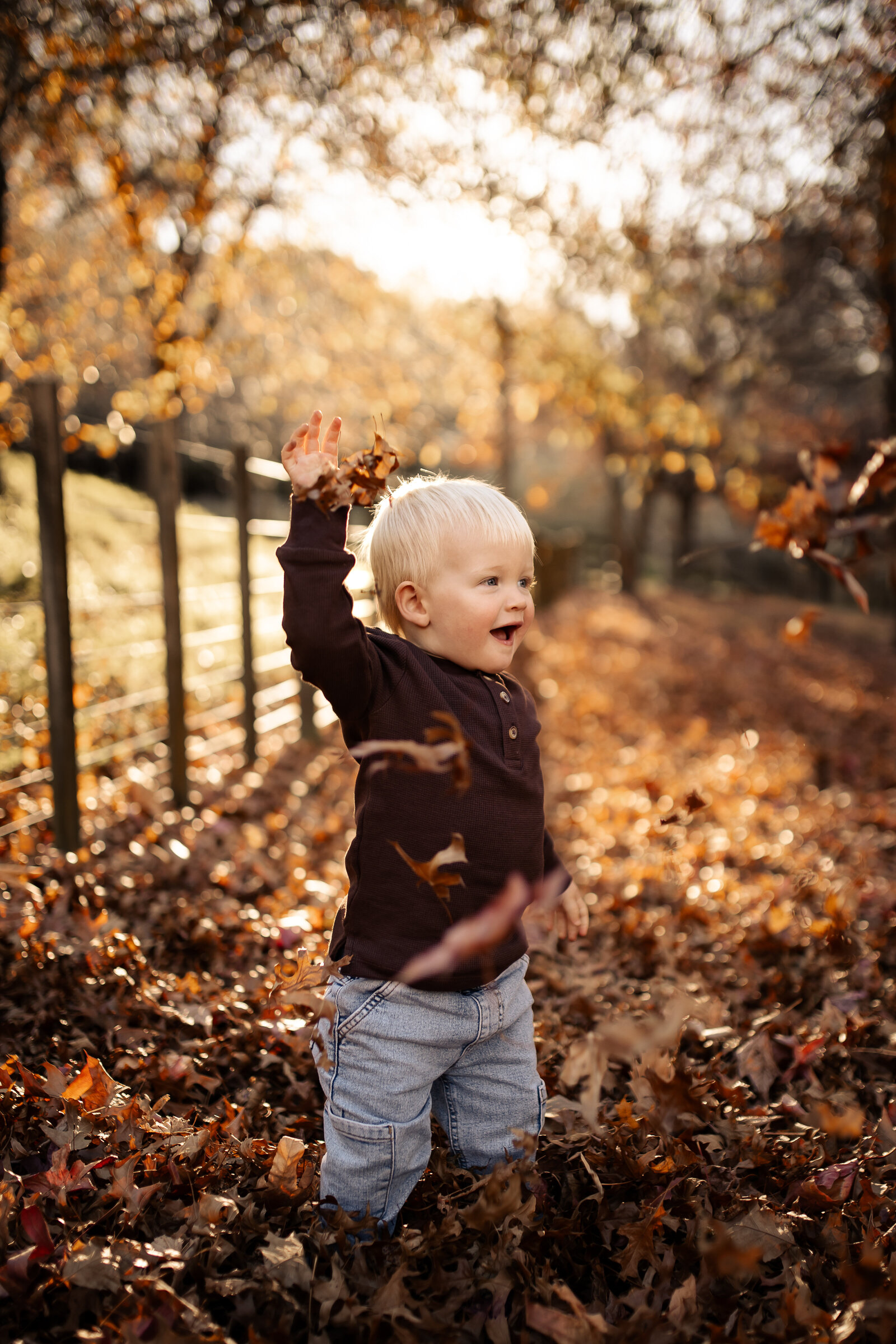 Toddler joyfully playing in a blanket of autumn leaves at Dolbel Reserve, Taradale, Hawke’s Bay – vibrant seasonal family photography by a local Hawke’s Bay photographer, capturing the rich colours of native bush and panoramic views of Napier and Hastings