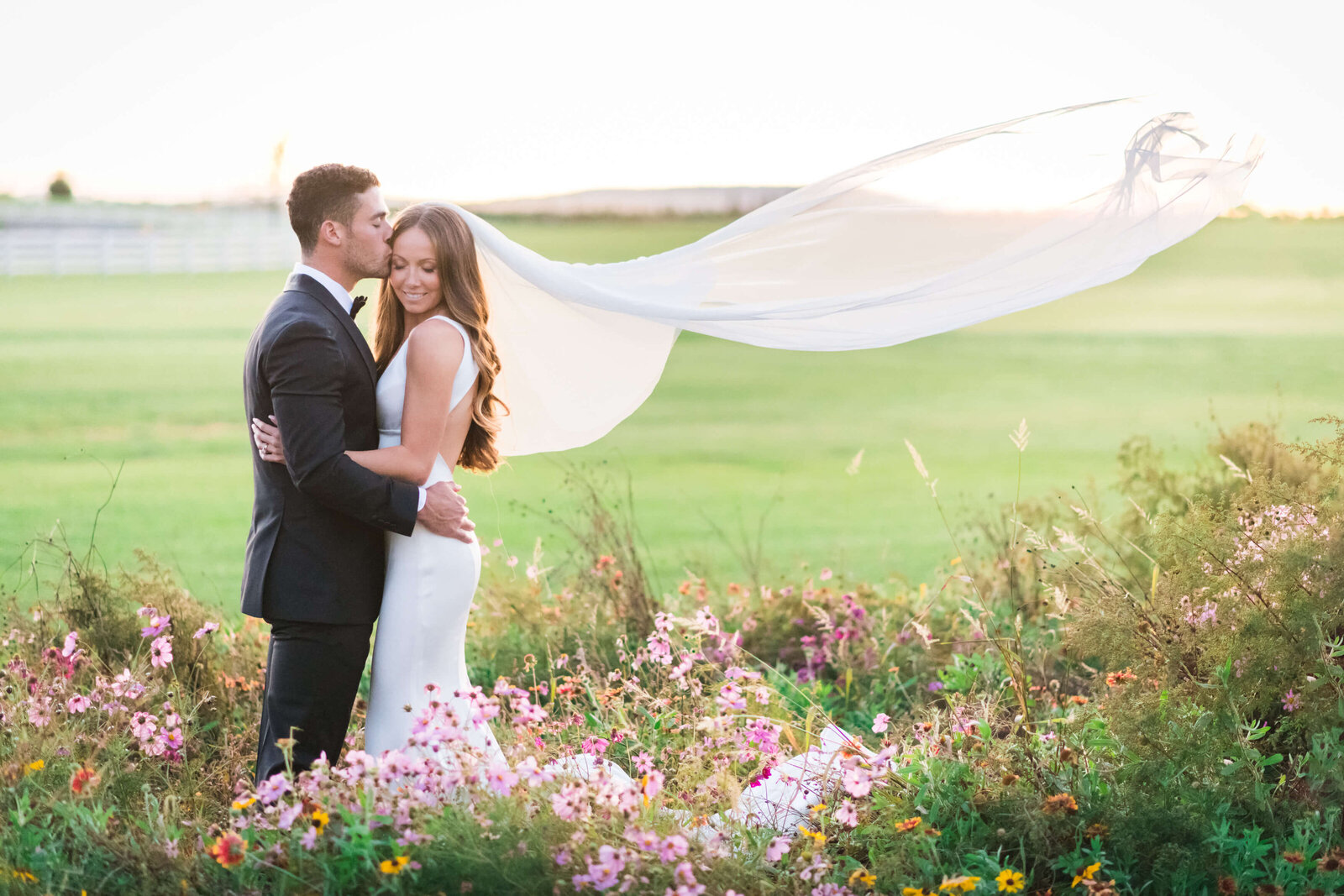 Bluebird-Manor-Wedding-Photographer-Virginia-Frederic-Maryland-Wedding-Photographer-Mary-Sarah-Photography (6 of 6)