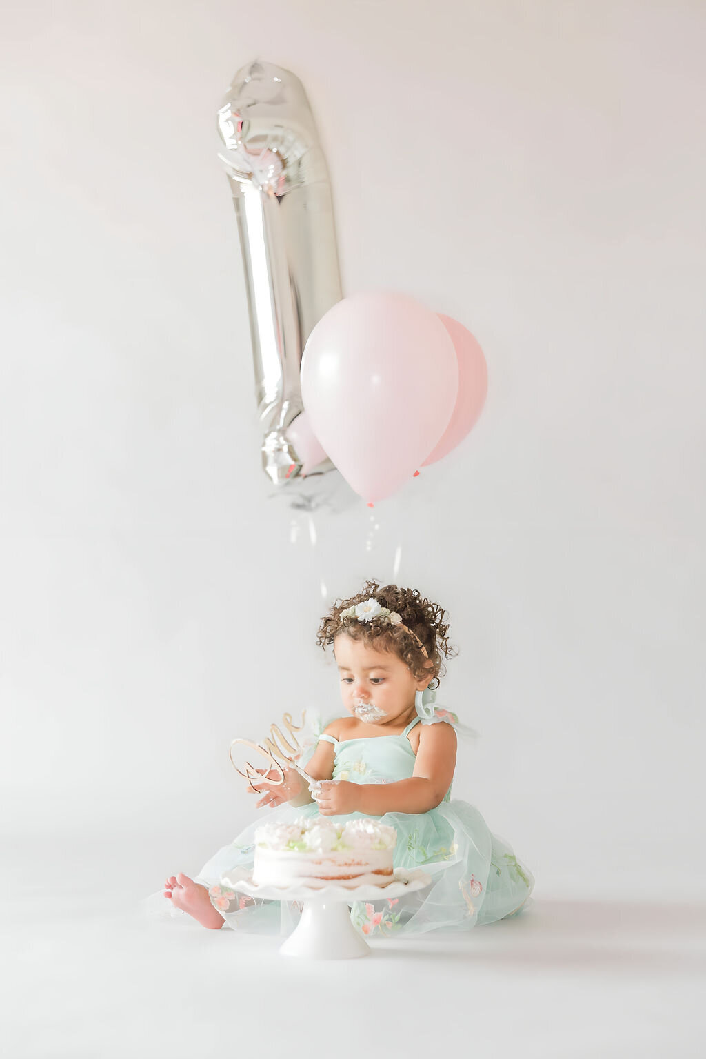 First birthday cake smash milestone photo session in Huntersville NC