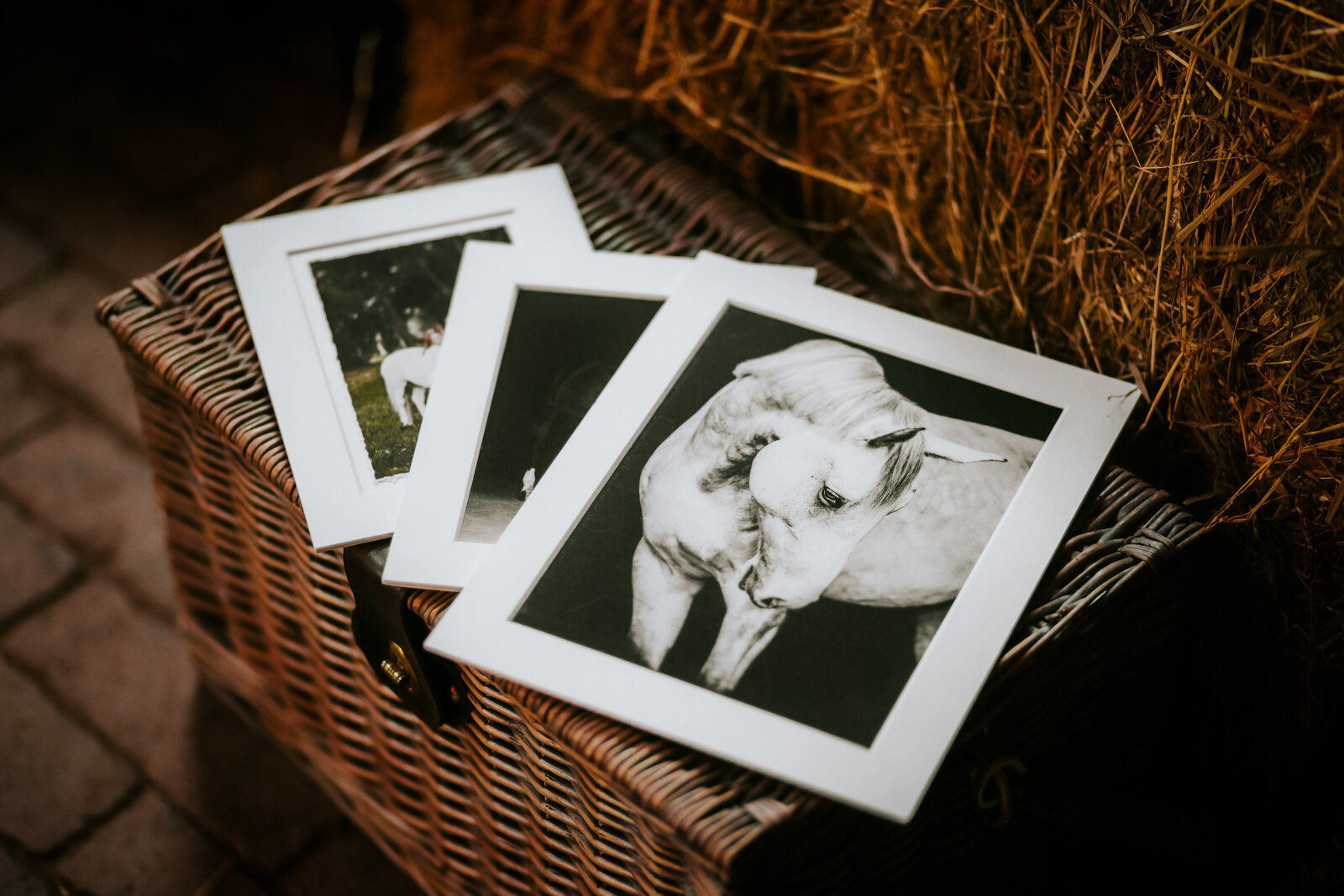 A40A5344-Edit