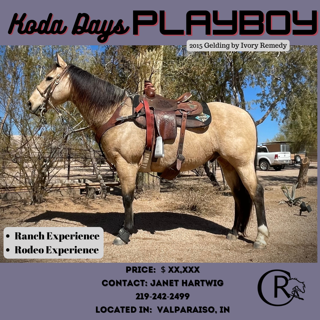 Koda Days Playboy