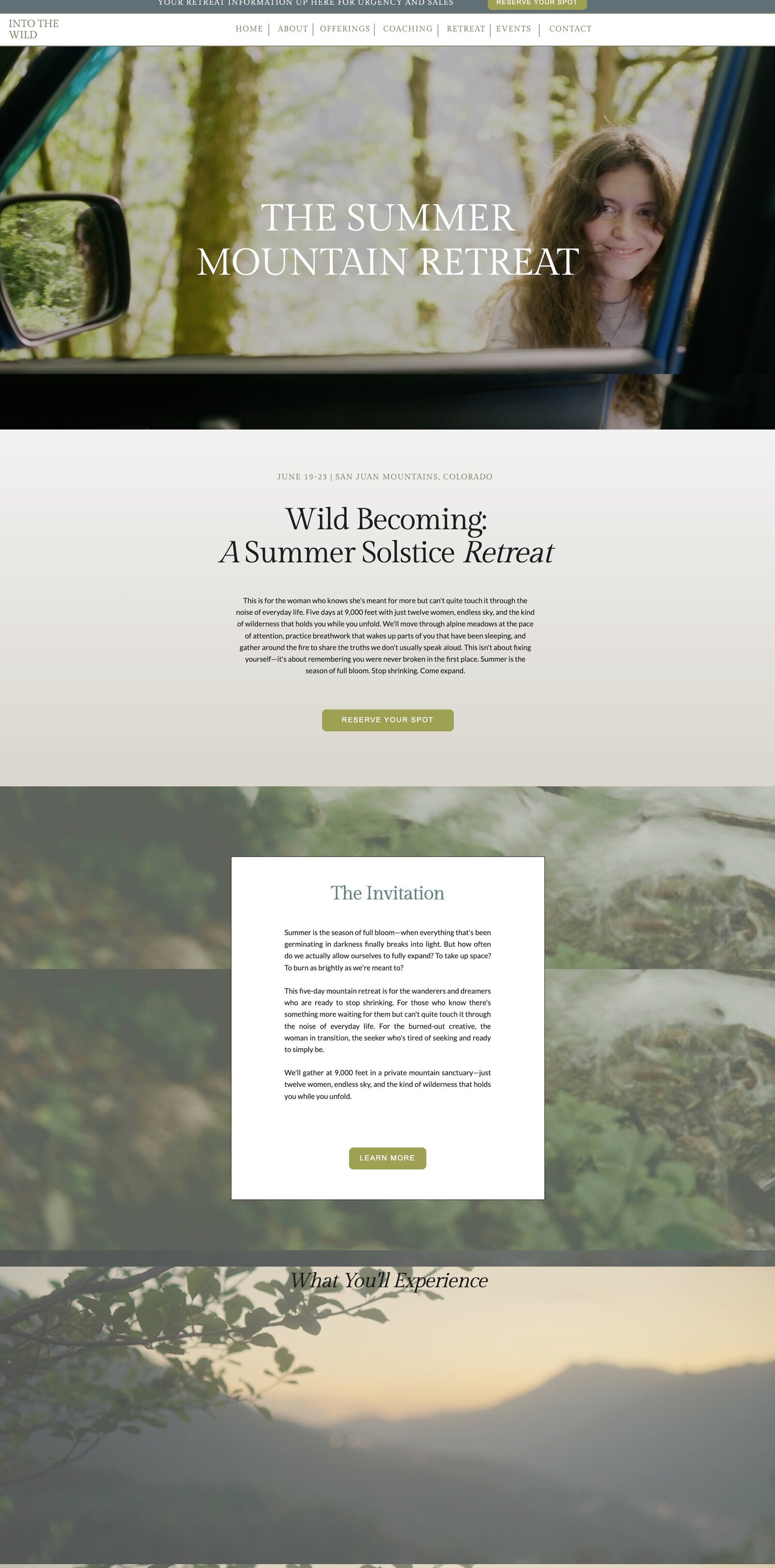 INTO THE WILD SALES PAGE