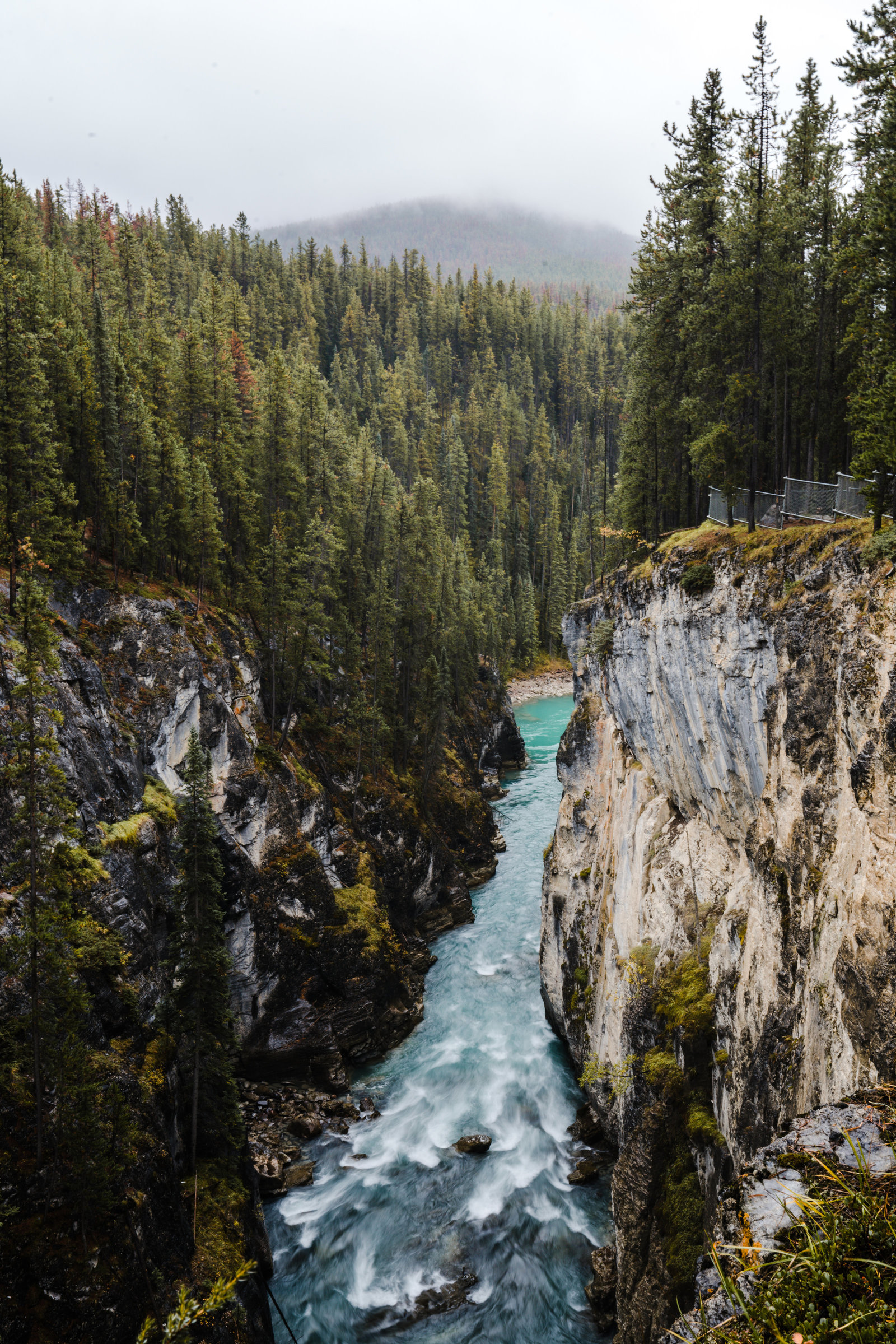 Banff_Jasper_National_Park_Sasha_Reiko_Photography-49