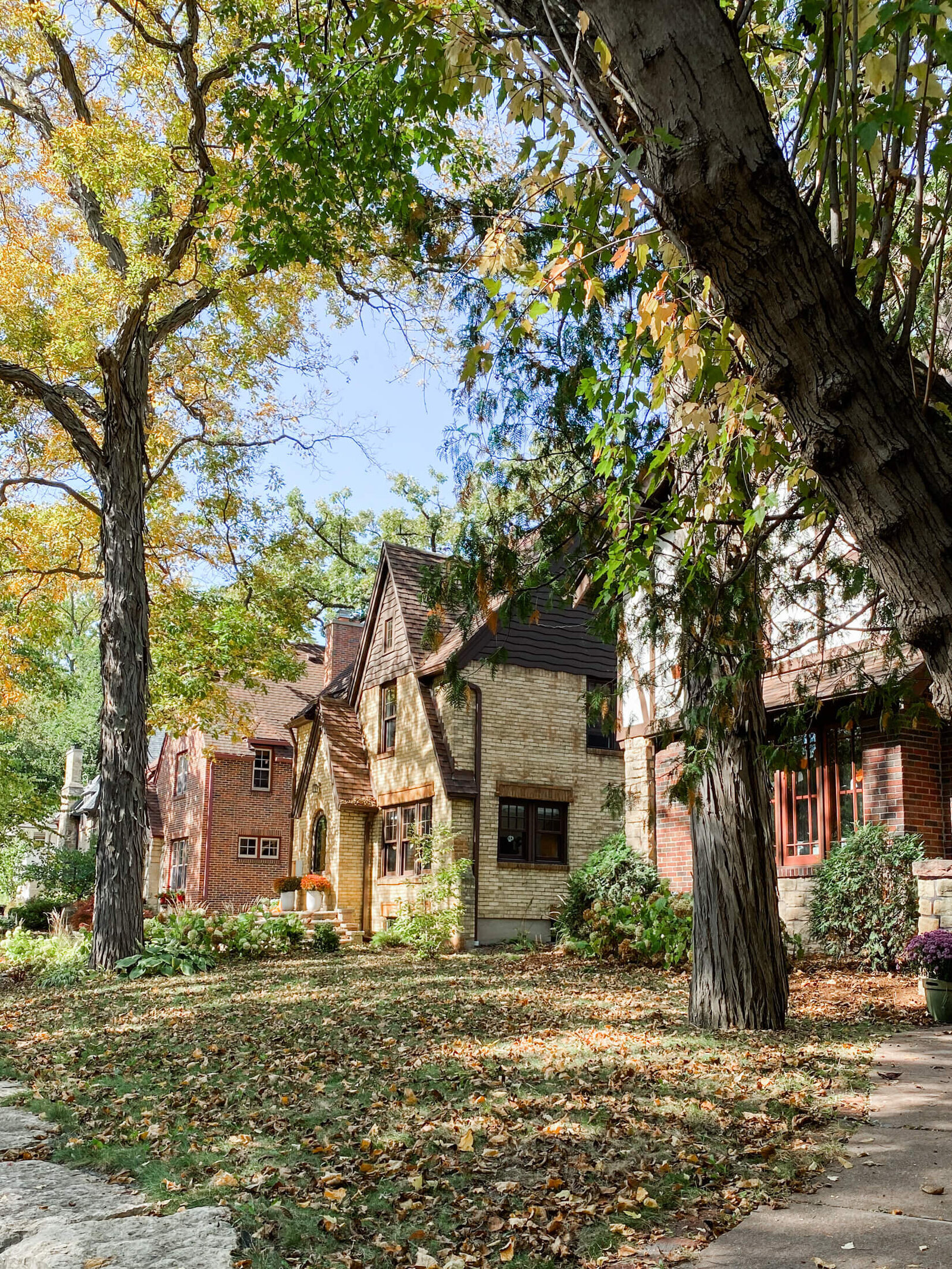 Vilas Neighborhood-9