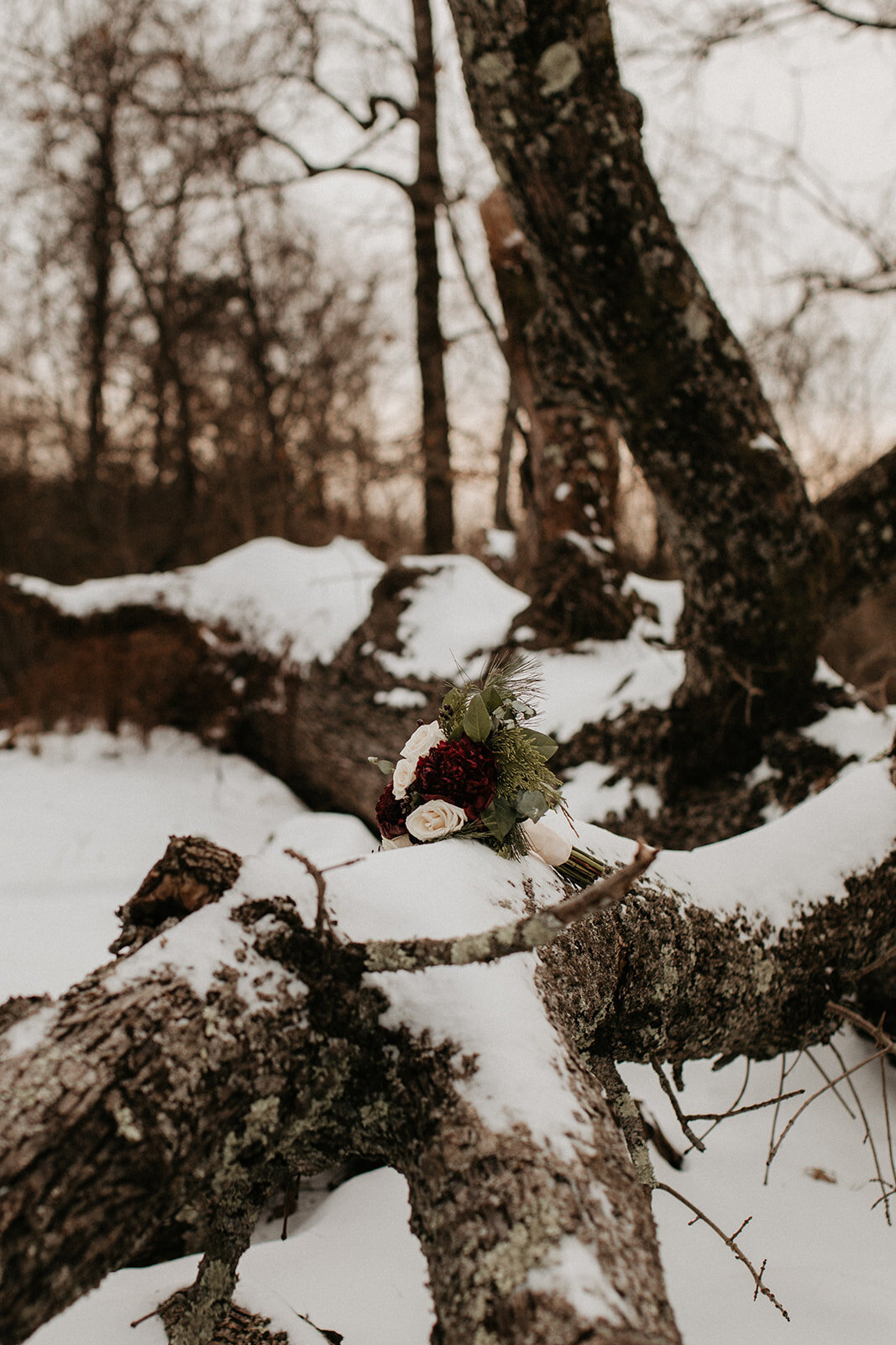 074_Amanda_Tommy_Minimony_12.19.20-290