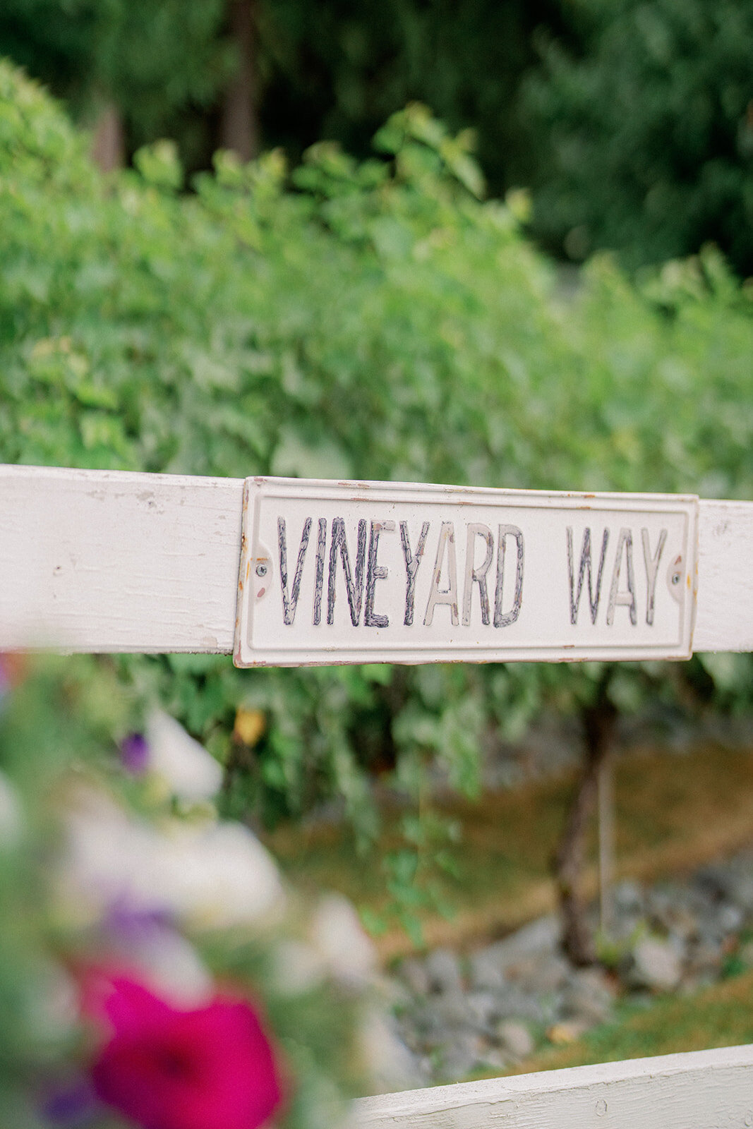 chateau-lille-woodinville-weddingchateaulille_woodinvillewedding-D-E-259