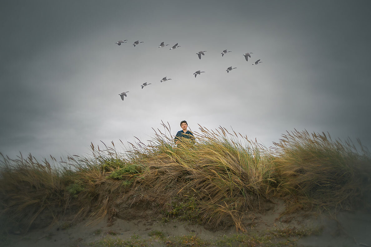 geese-moody-sky-fall-boy-wind-blowing-v-change-seasons-beach-washington