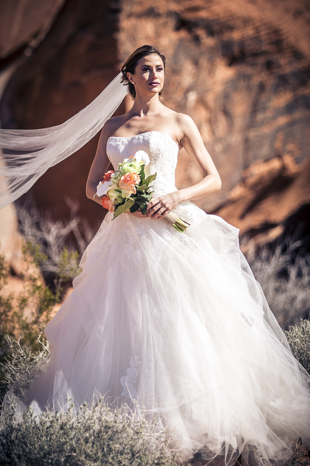 bride standing in the desert