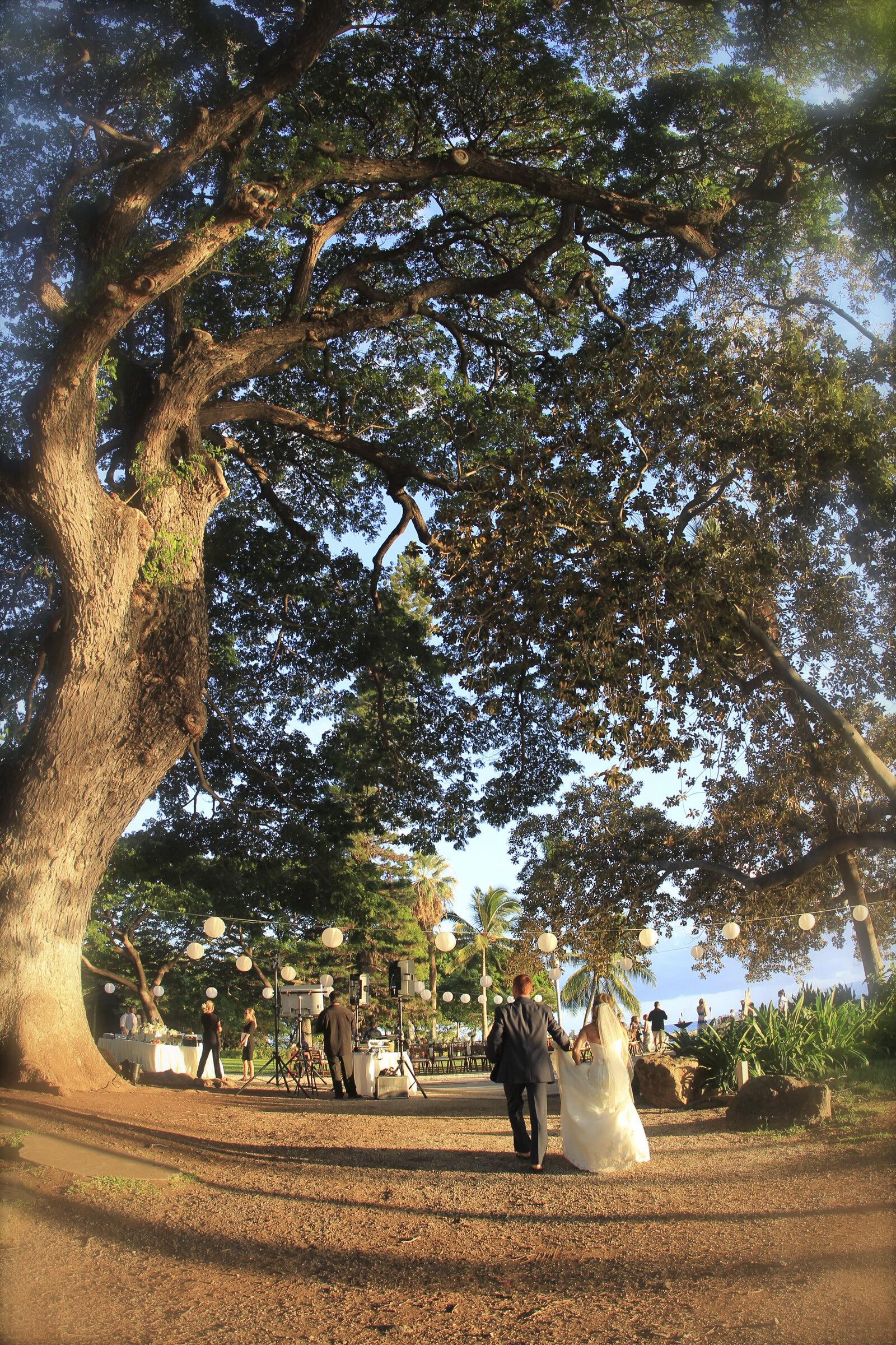 Caroline Morey Wedding Photographer Maui Destination Wedding Olowalu Plantation Wedding110413_8093456 x 5184