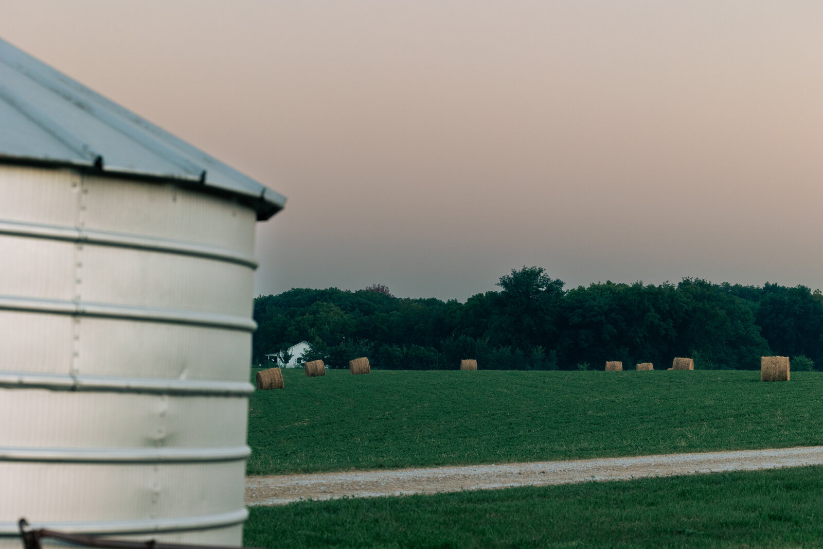 Illinois City Farm-128