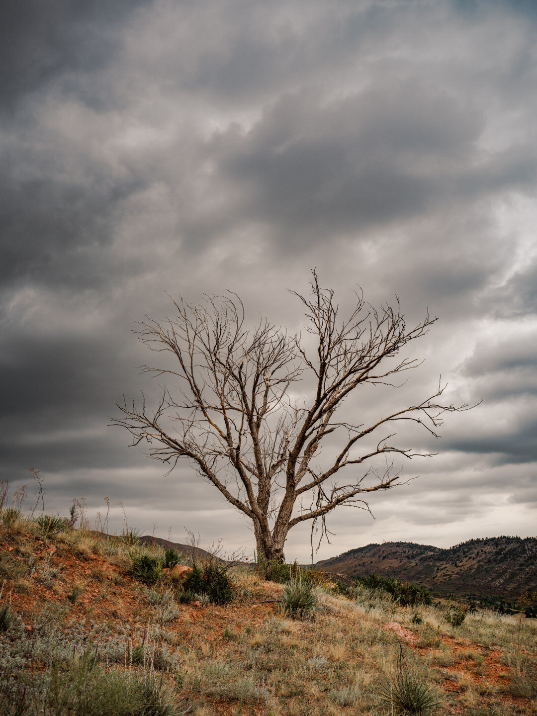 Resolute Territory - Landscape Art Prints - 8