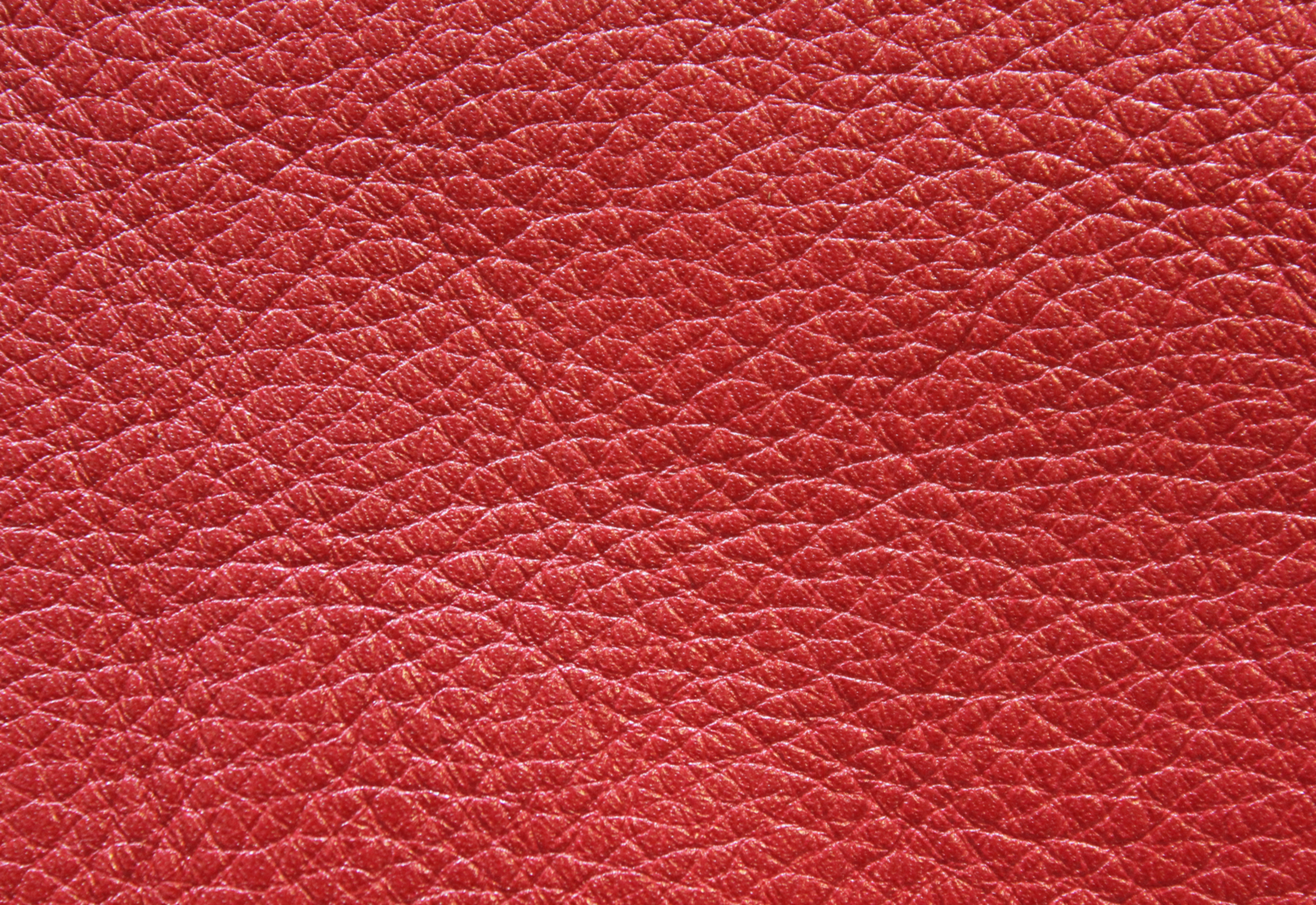 Noveaux Tomato Leather