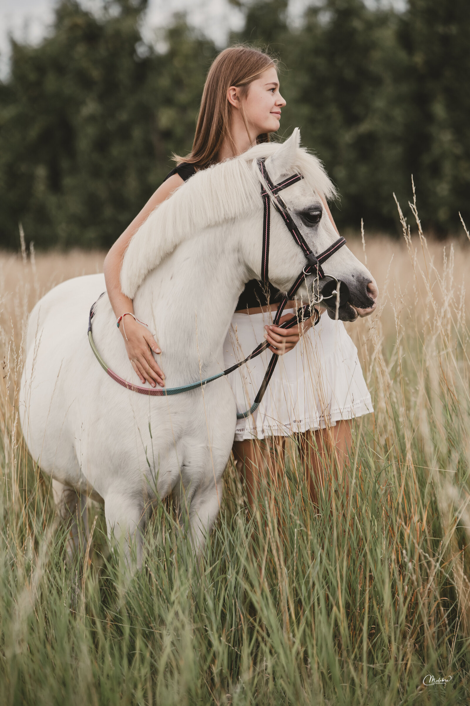 Paardenfotograaf, paardensport, paardenfotografie, hippische onderneming, fotoshoot, fotograaf