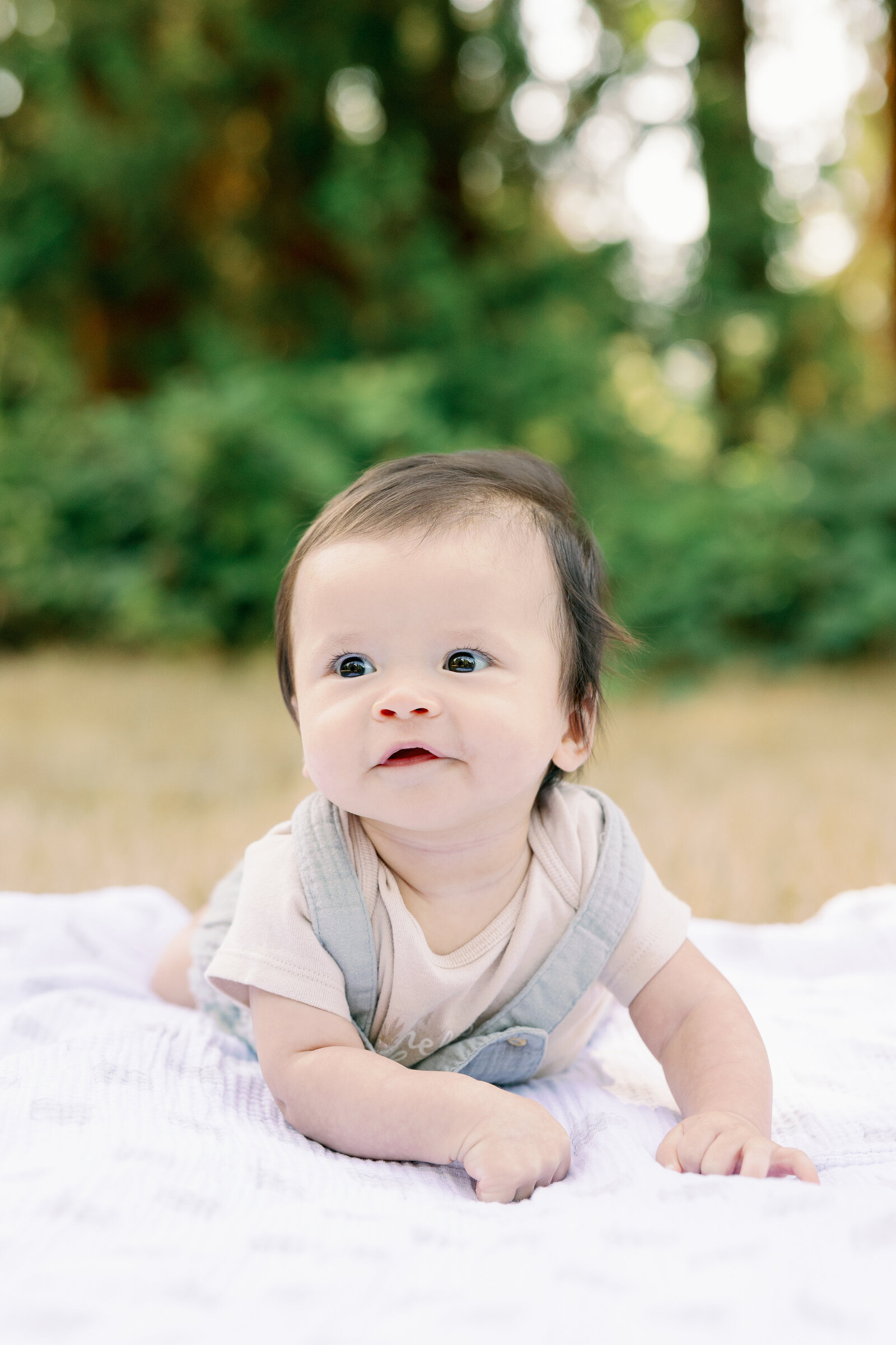 Amrhein-Dang-Family-2023-Cameron-Zegers-Photography-157