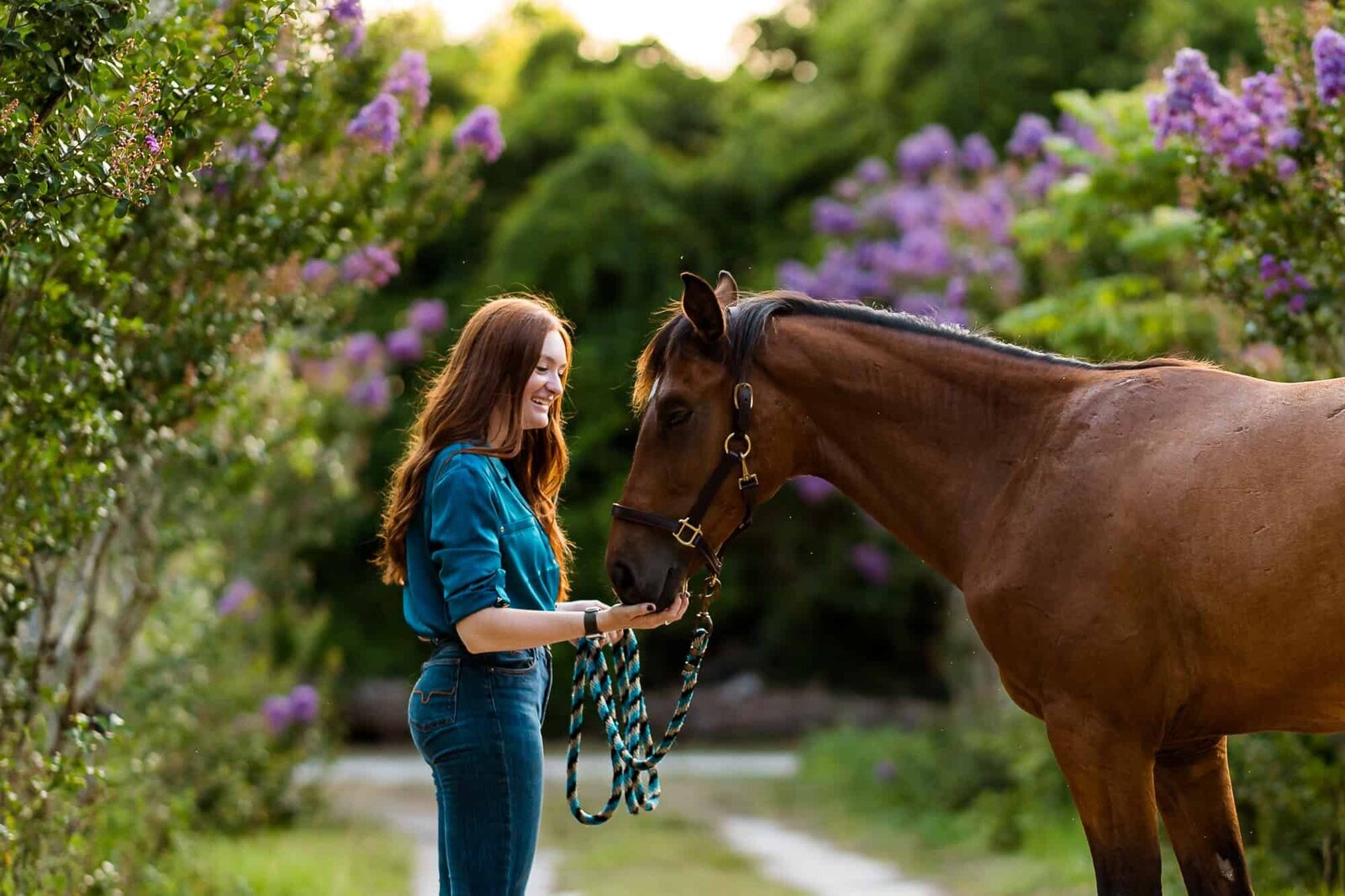 Horse Portrait Photography