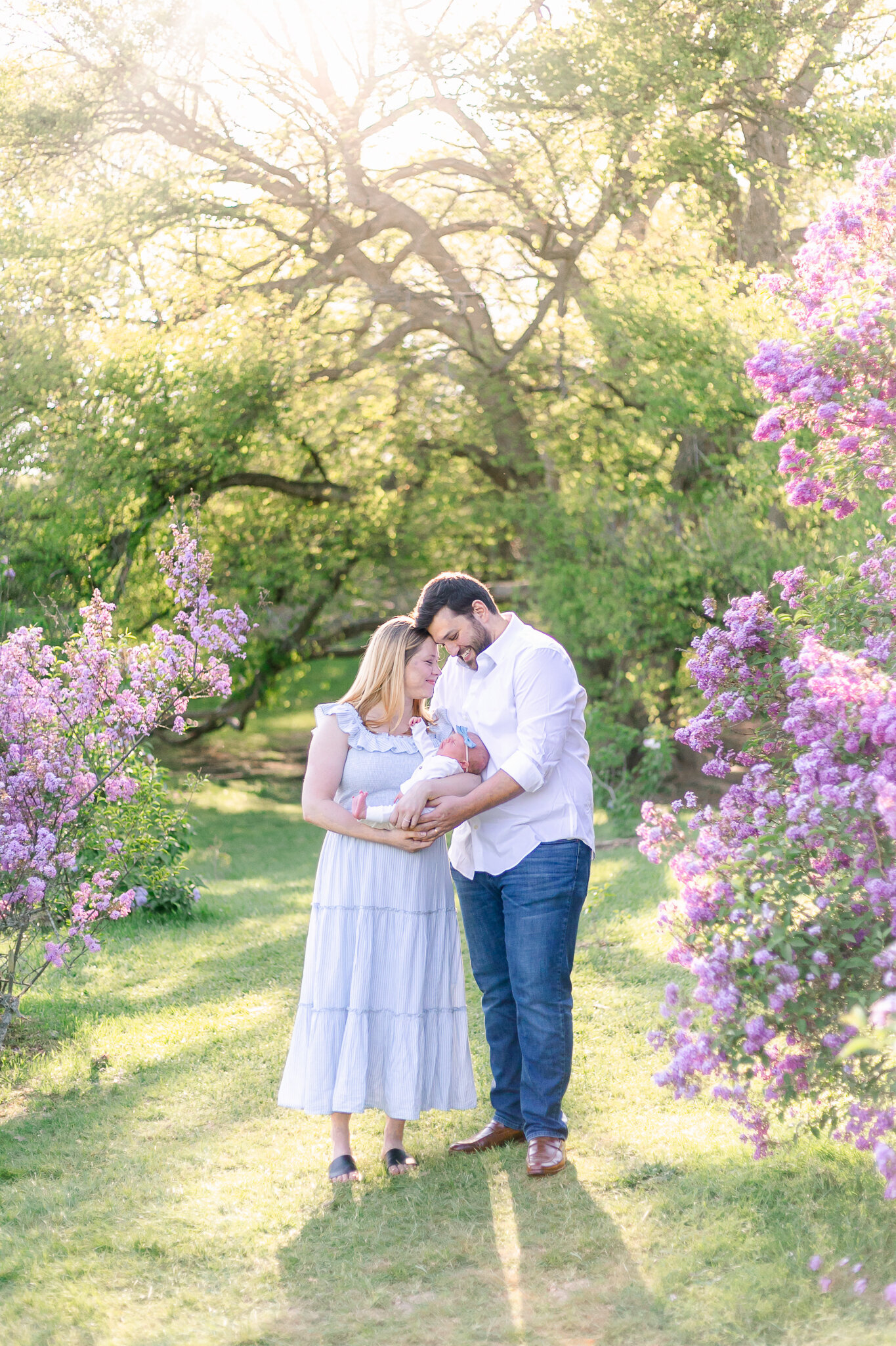 A Rochester NY newborn photography session in Highland Park, featuring Rochester's famous lilacs.