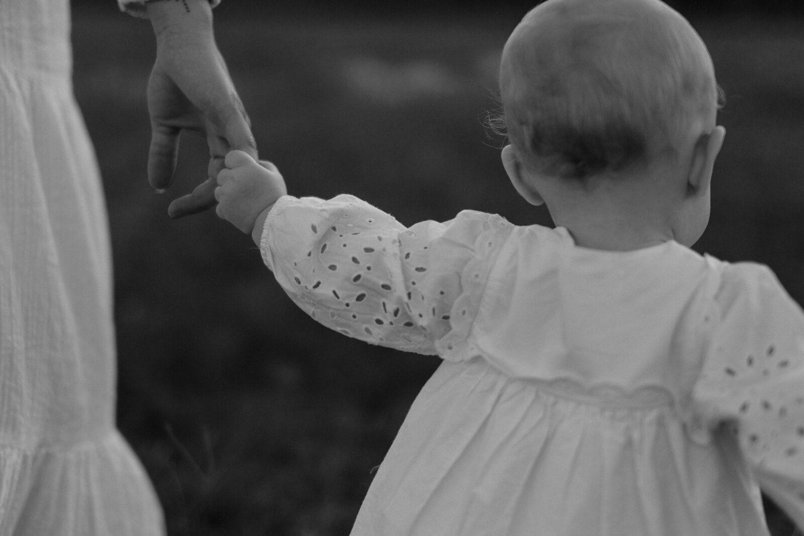 Library - 495 of 1284