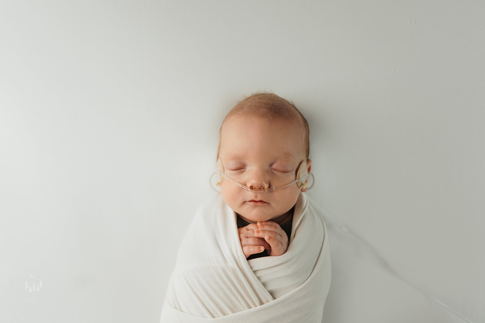 a newborn baby boy wrapped in white, on a white background, sleeping with hands crossed