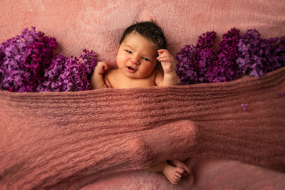 lilacs-newborn-baby-girl-eyes-open-dark-hair-pink-background-purplep-flower