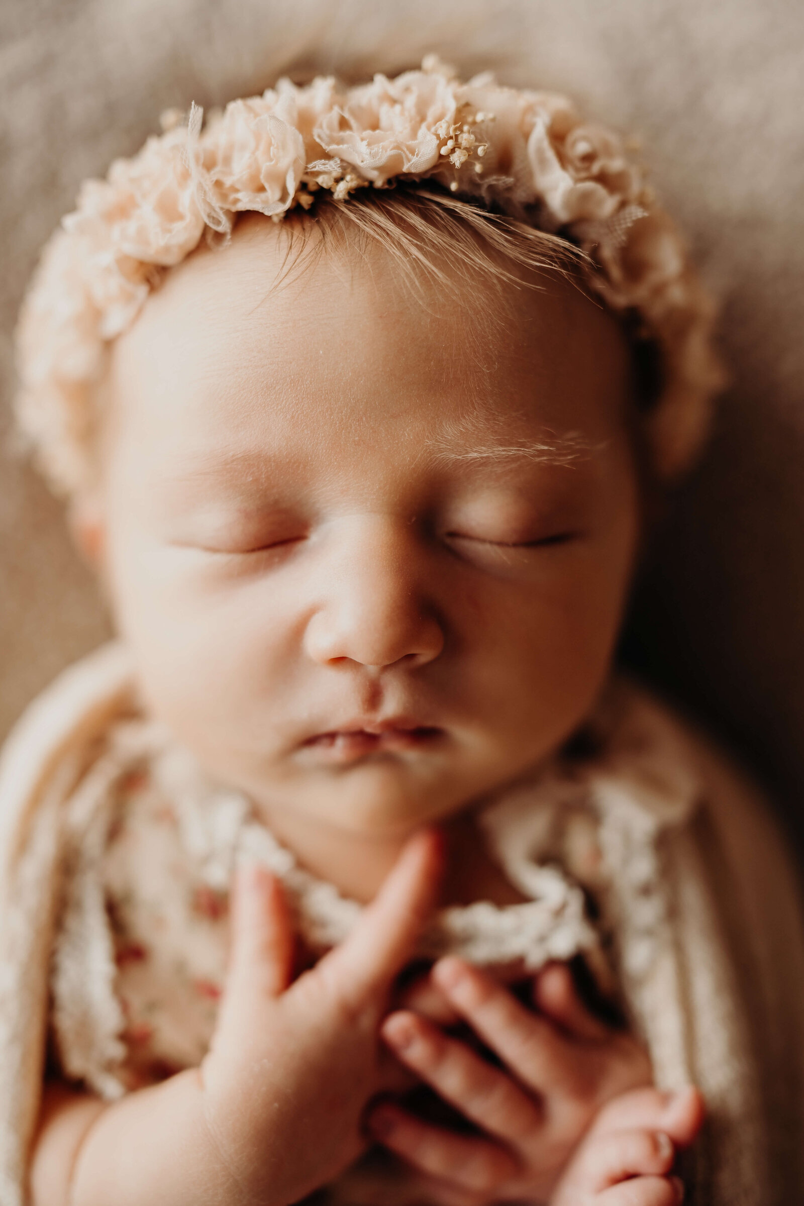 fine art newborn baby girl wearing flower crown