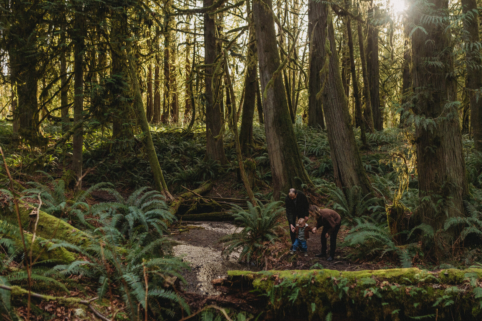 Olympia-Family-Photographer-003