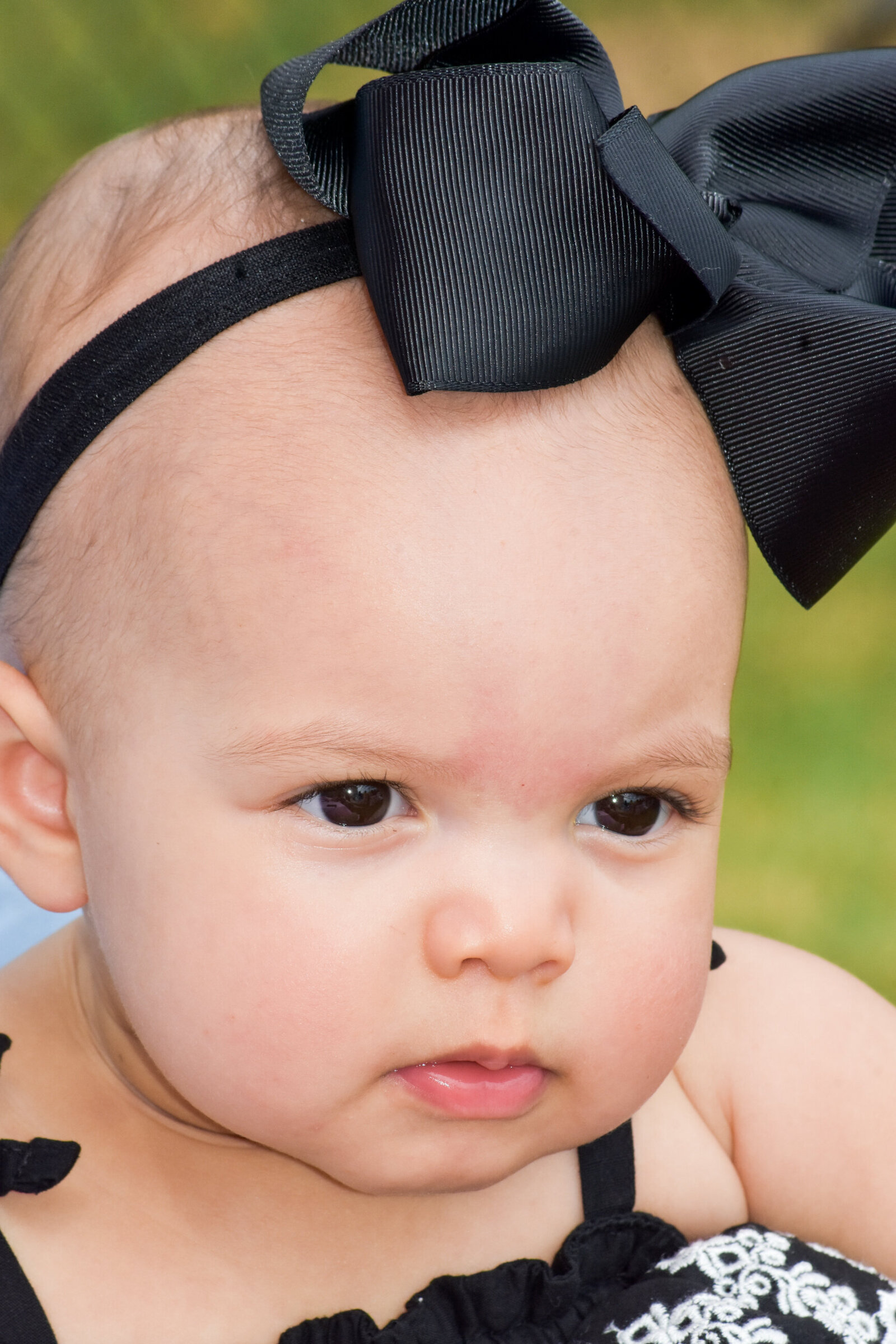 baby girl with a large black bow on her head photographed by Millz Photography in Greenville, SC