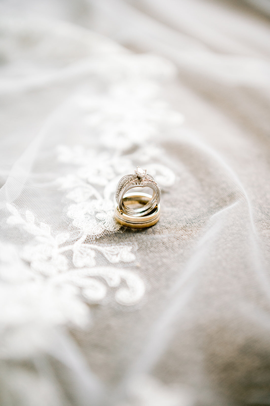 ShauniHartlandFotografie-FotograafAlkmaar-Trouwfotograaf-NoordHolland-DestinationWeddingPhotographer-DutchElopementPhotographer-HerraldAndNatalia-18