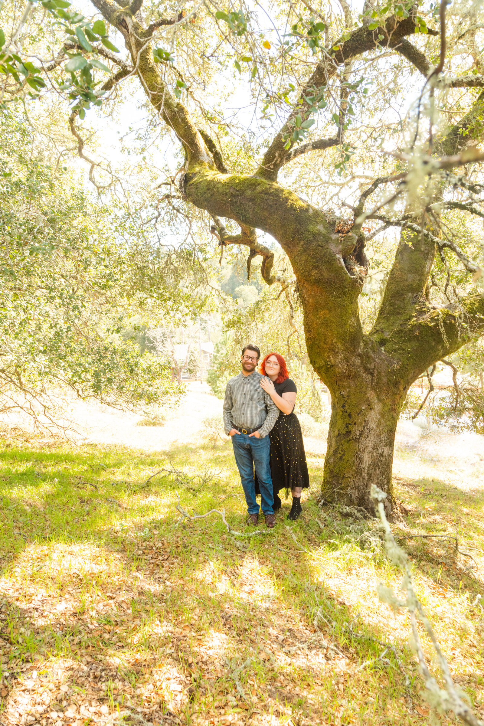 An tattooed engaged couple poses for photos in a redwood forest in Santa Cruz, Ca.