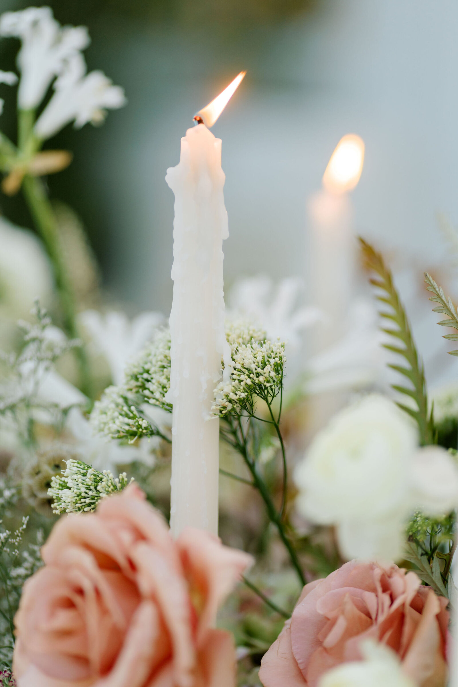 greenhouse-on-harvard-wedding-photography-26