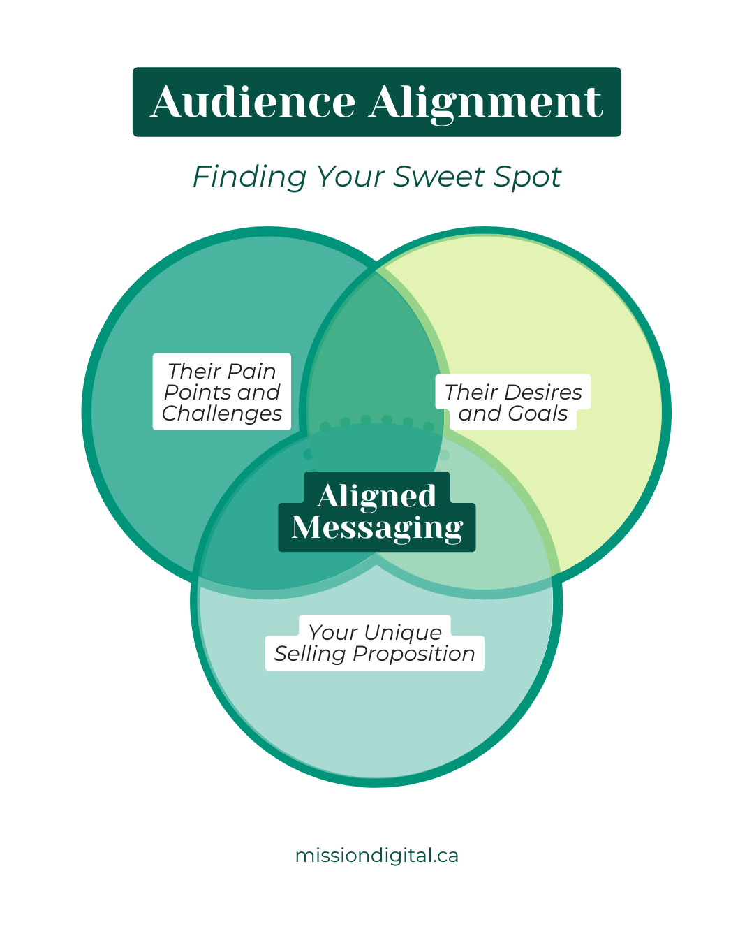 Audience Alignment (3)