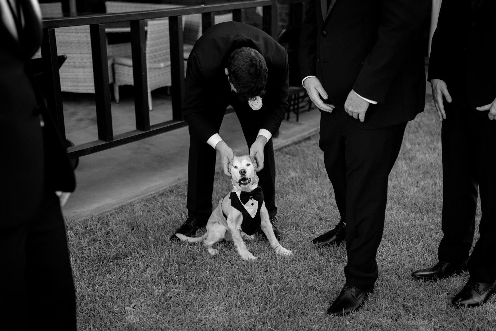 250308-Sophie-Matthew-Rexvil-Photography-Adelaide-Wedding-Photographer-48