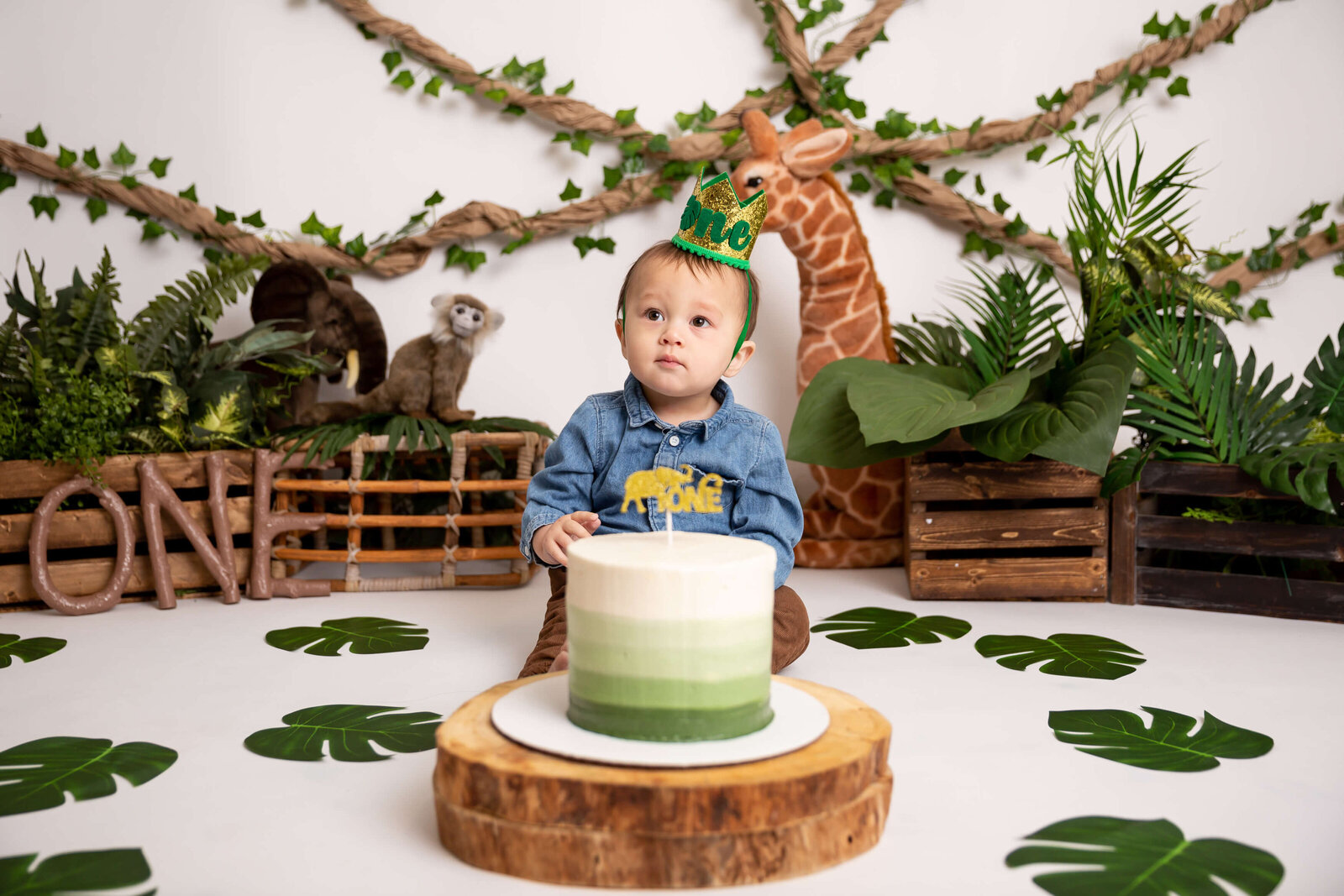 Abbotsford-Cakesmash-Photographer-13