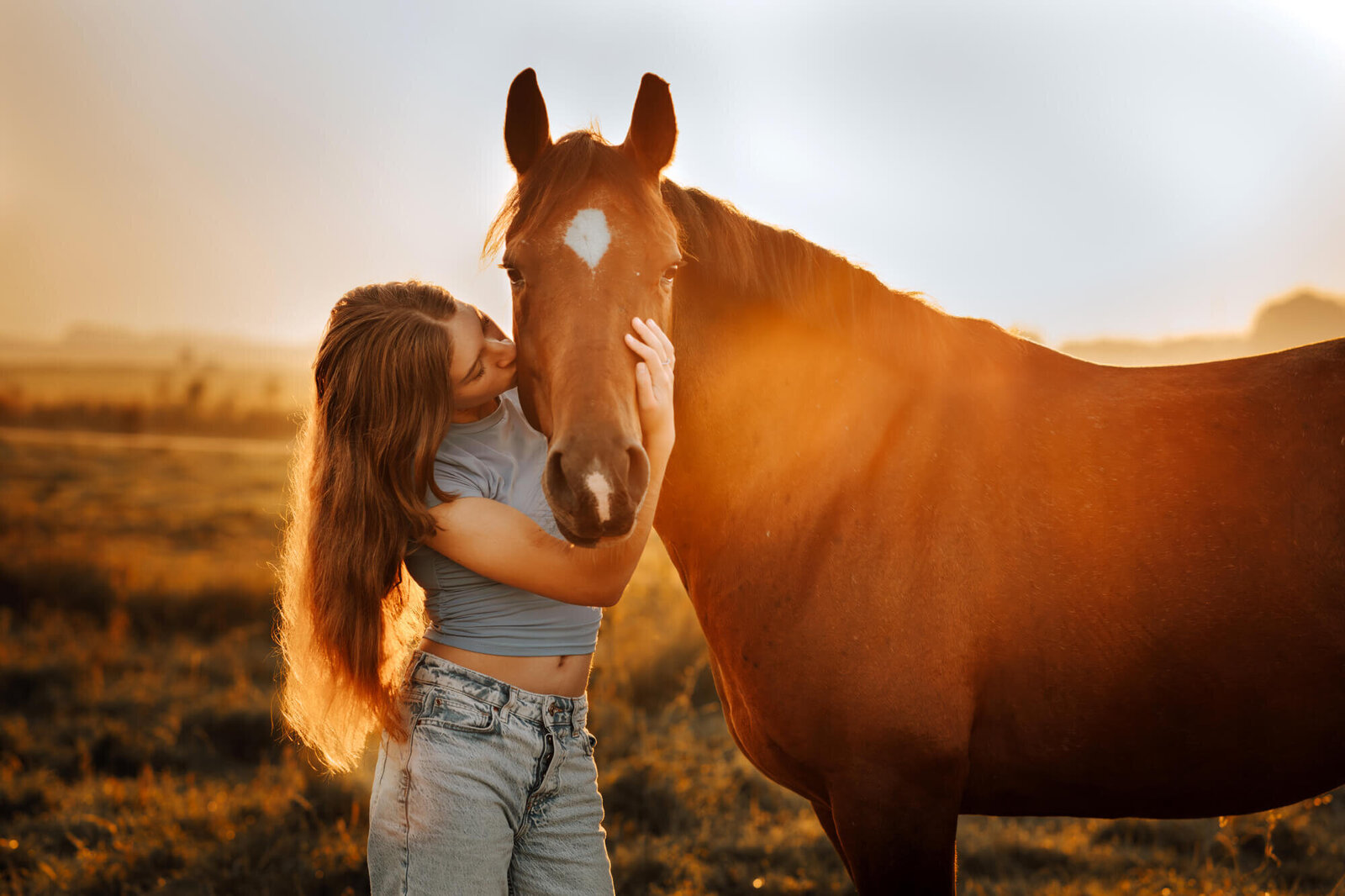 JNSW-Paard-Sprookje-Zon