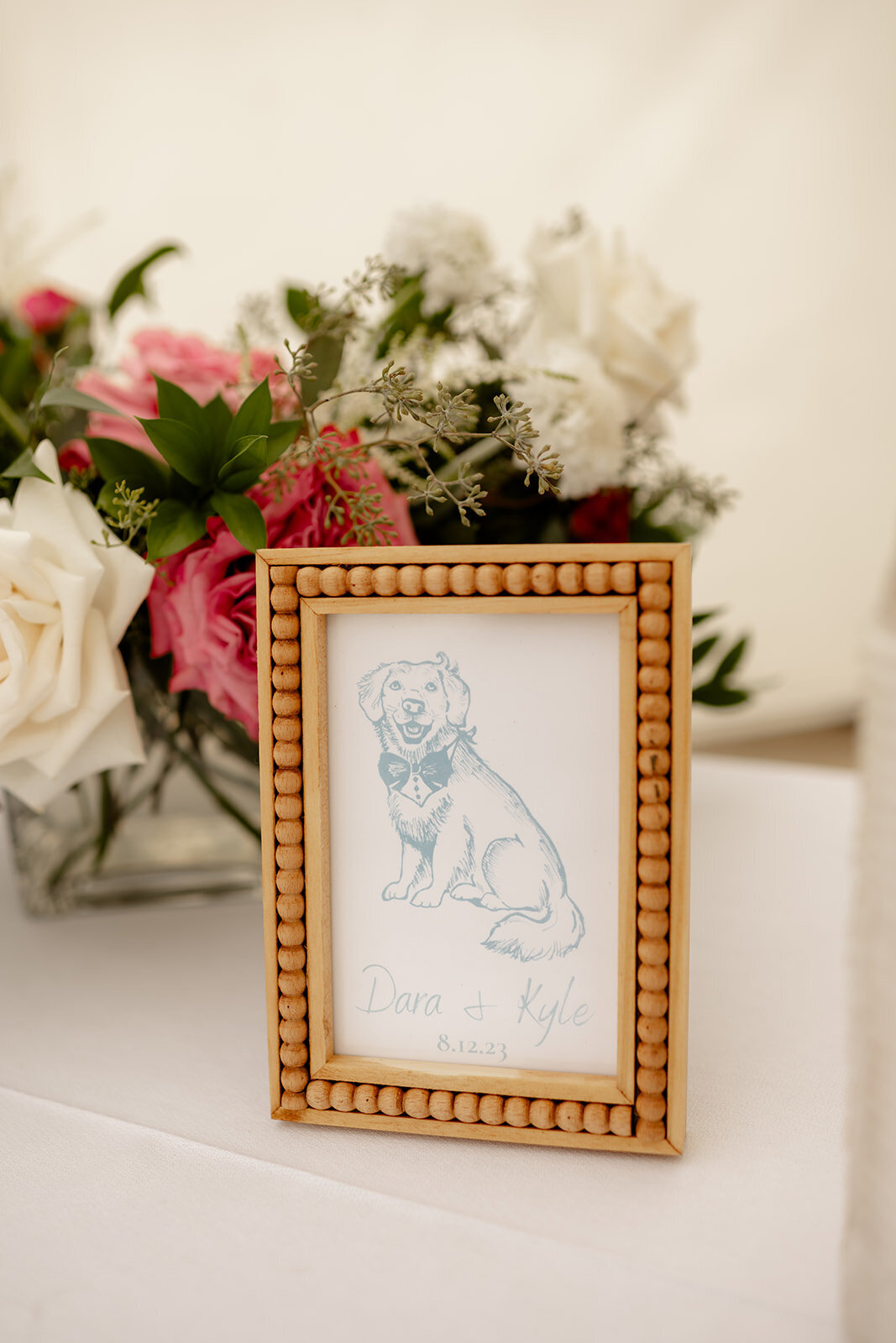 Dog  (1)