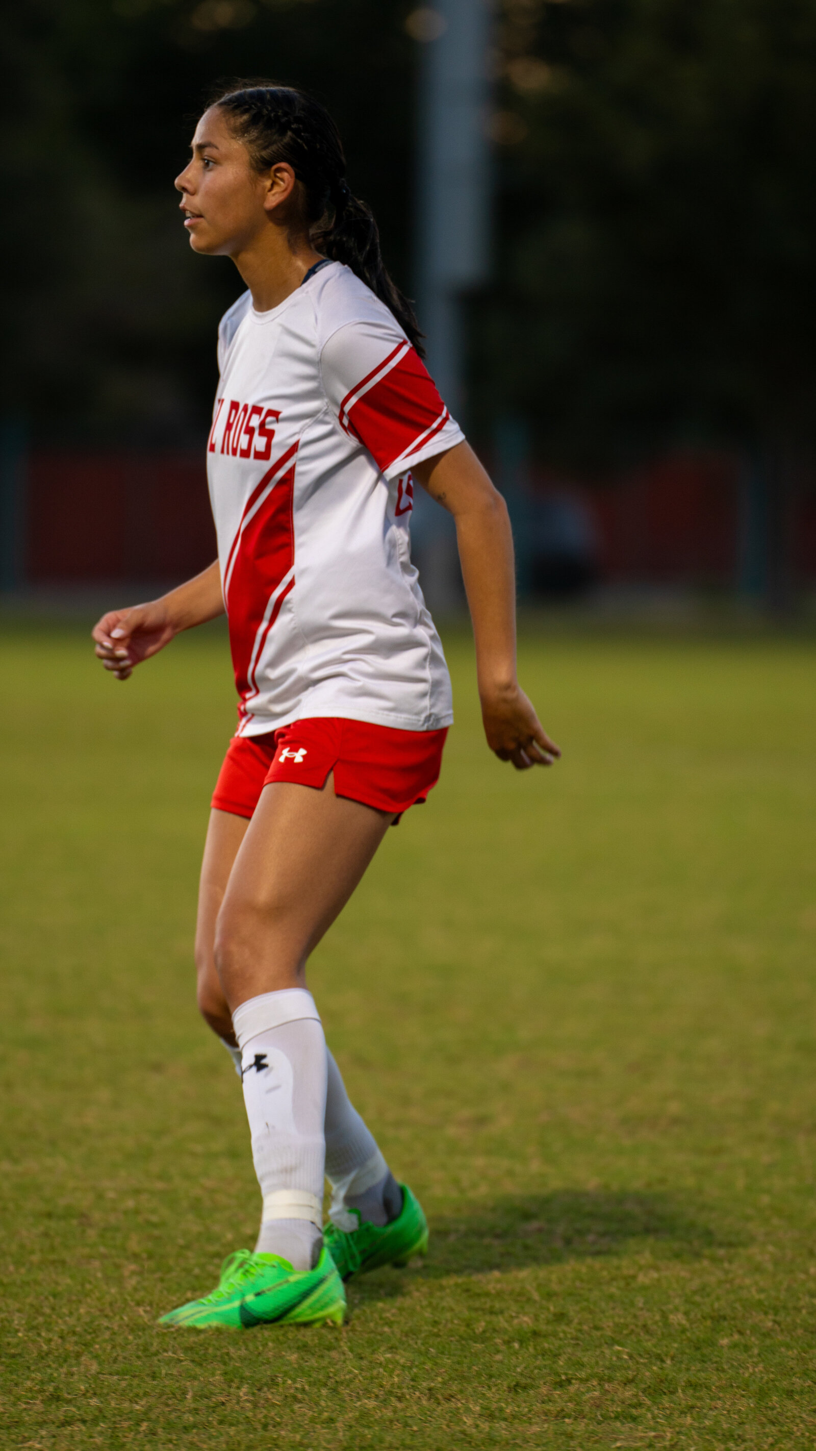 DSC04484