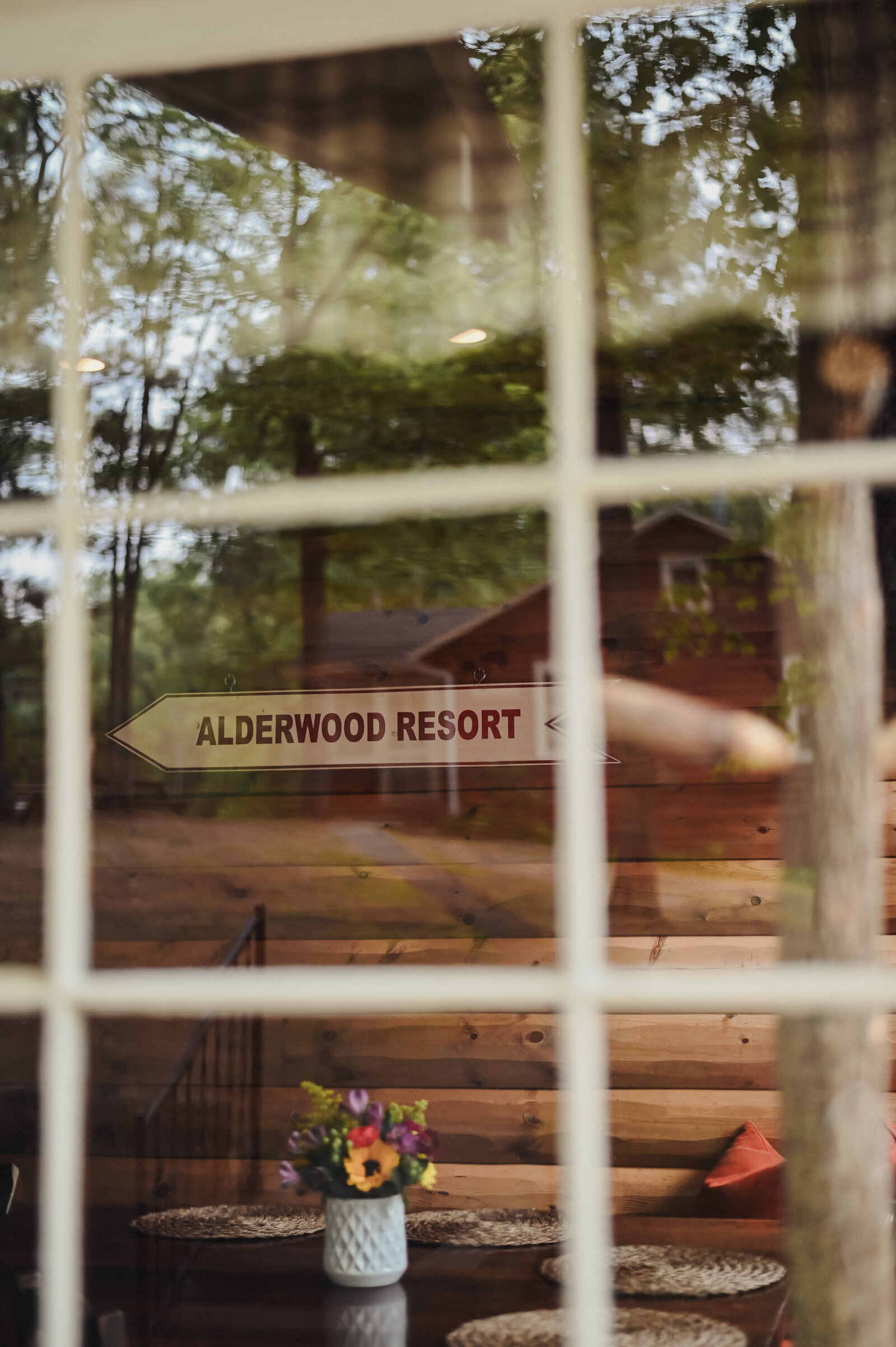 Alderwood-545