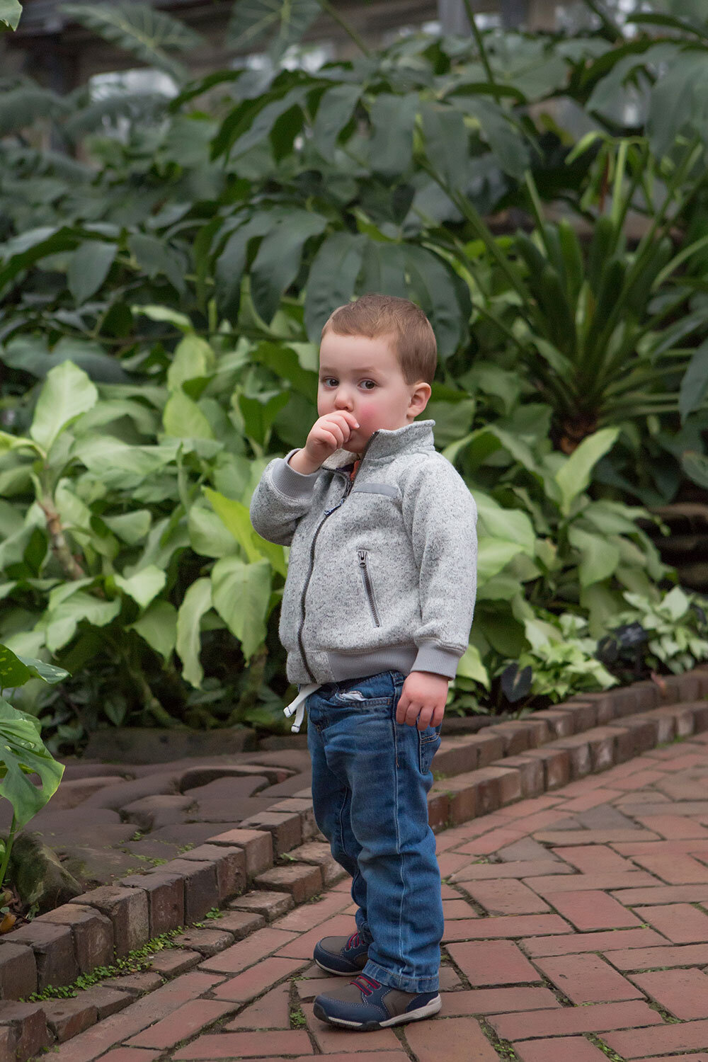 Tampa St Pete Botanical Gardens Childrens Photographer_Abby Evans Photography