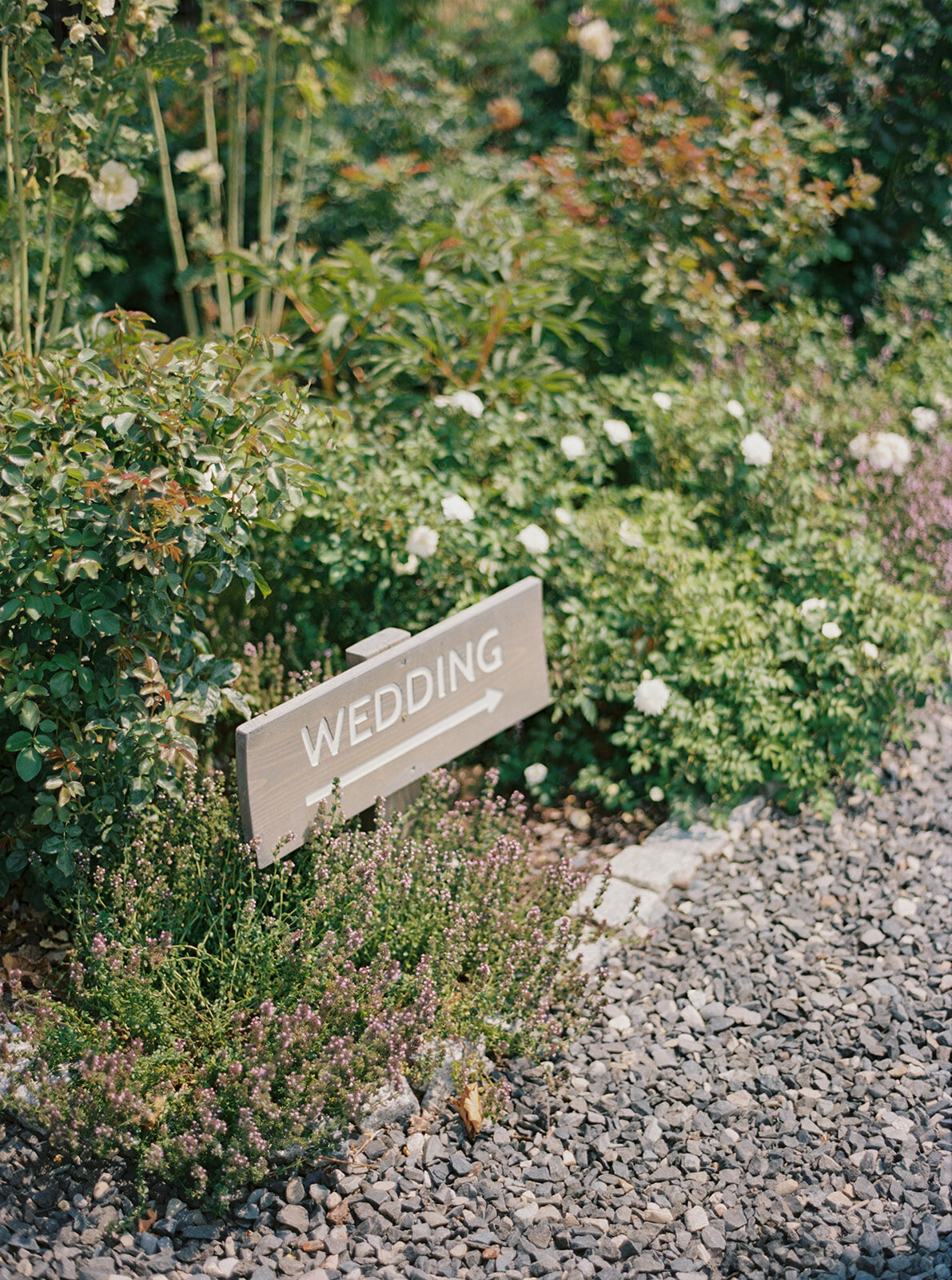 RTFaith-Portland-Wedding Photographer-824