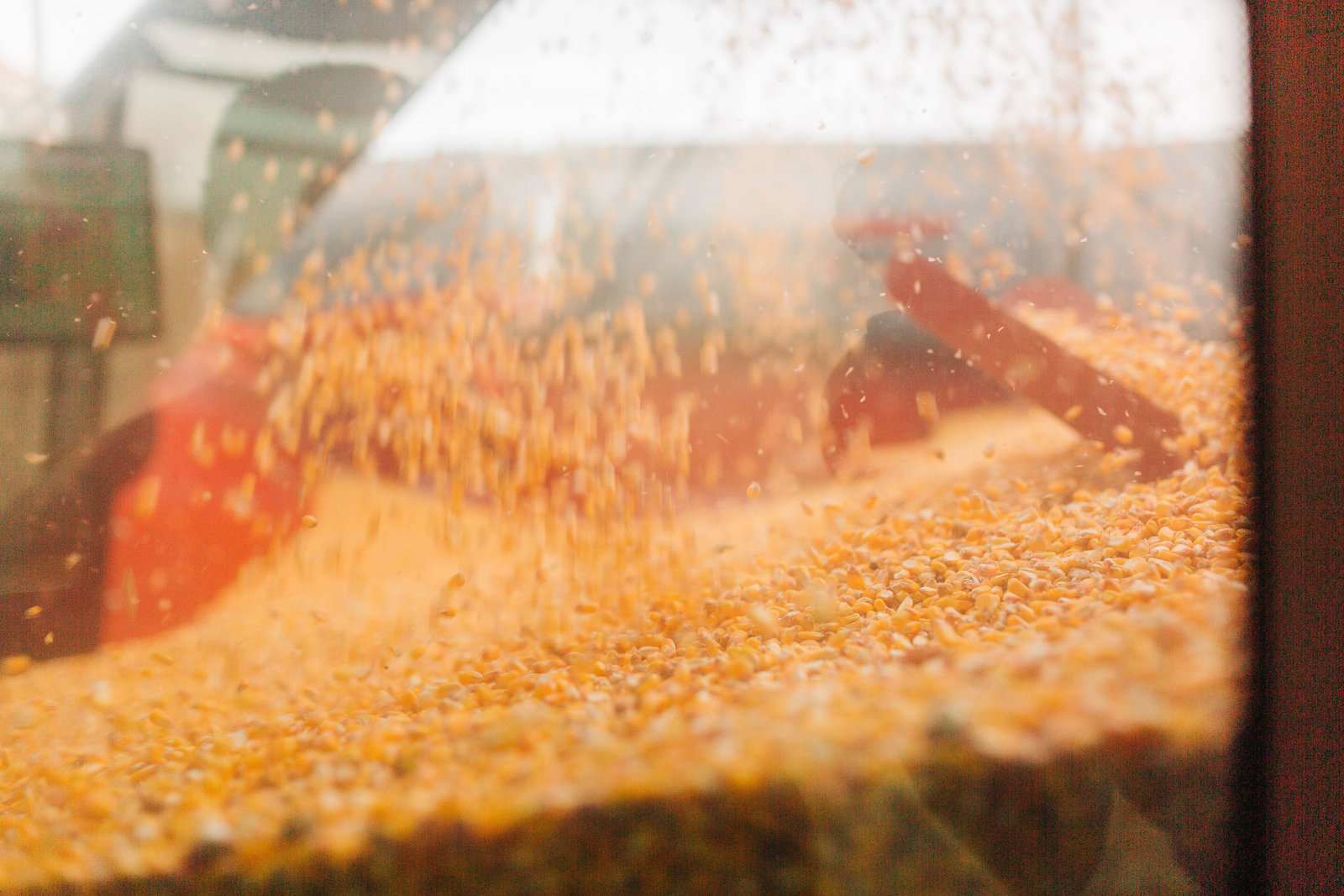 RippyFarms2019-153