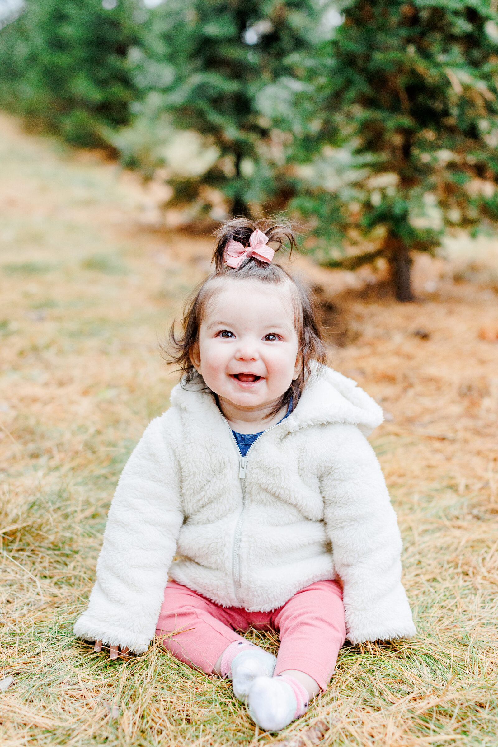 Hansen-Tree-Farm-Anoka-MN-Mini-Session-Family-2022-026