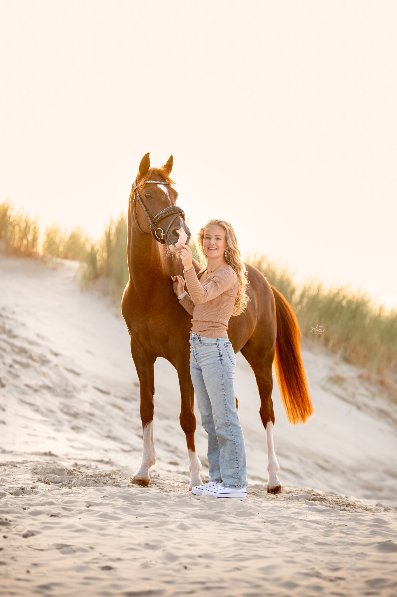 paardenfotograaf ameland (2)