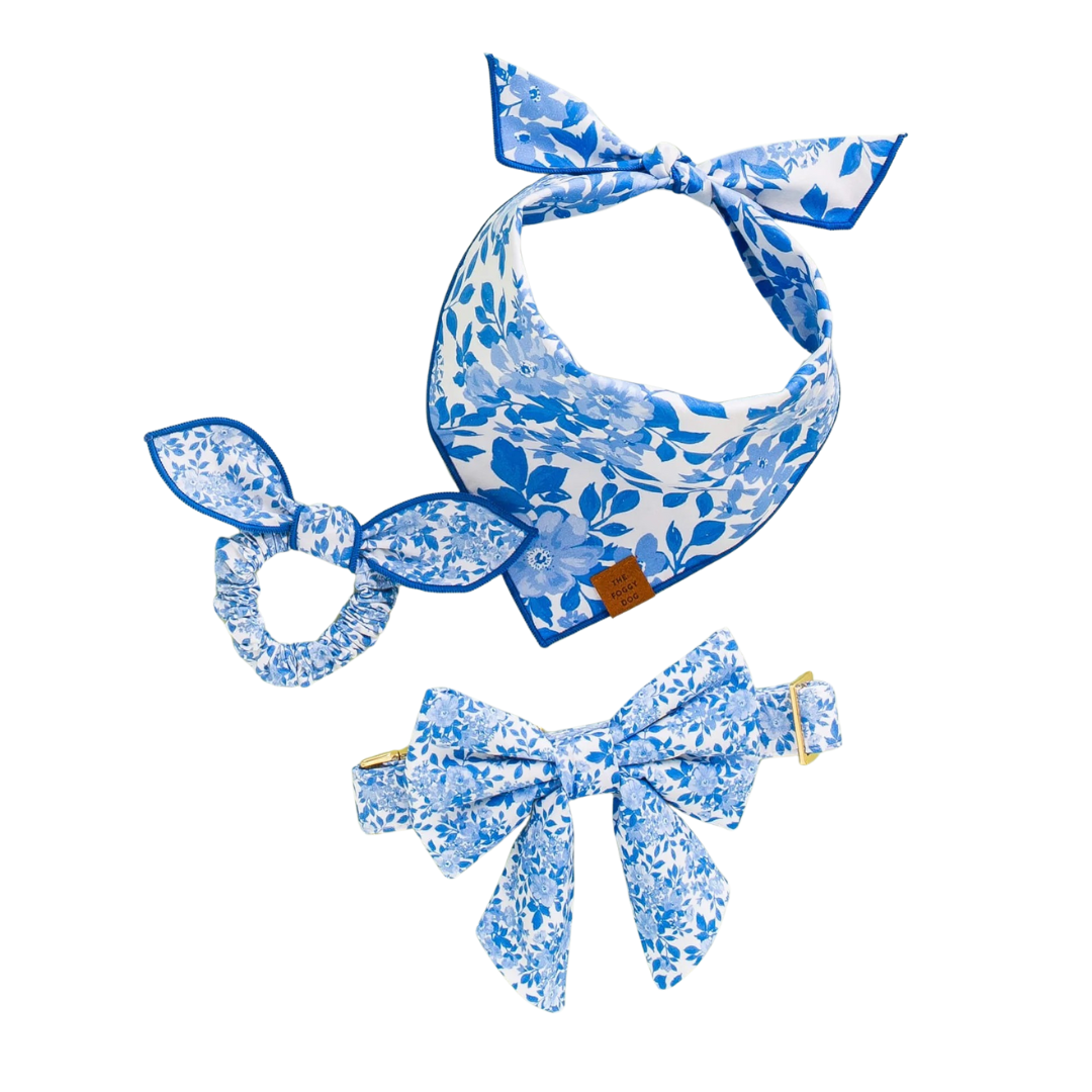 dog bandana and collar set